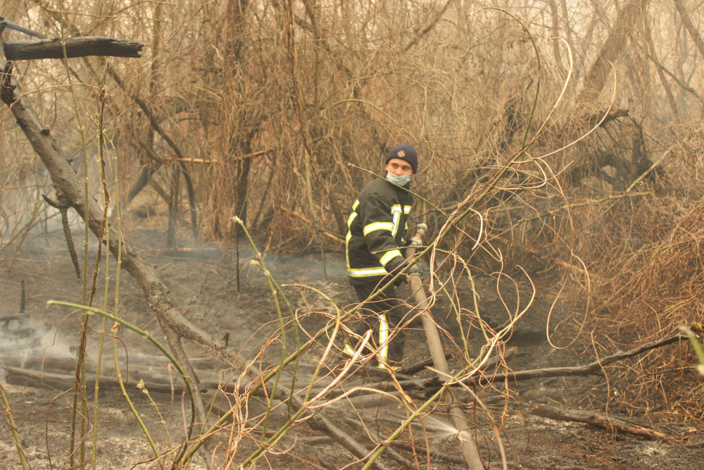 Fires currently raging in the Chernobyl Zone - Chernobyl, Fire, Video, Longpost