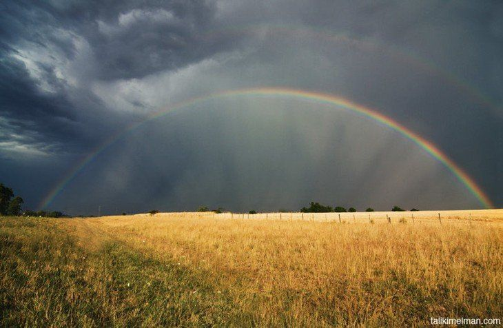 Rainbow | Пикабу