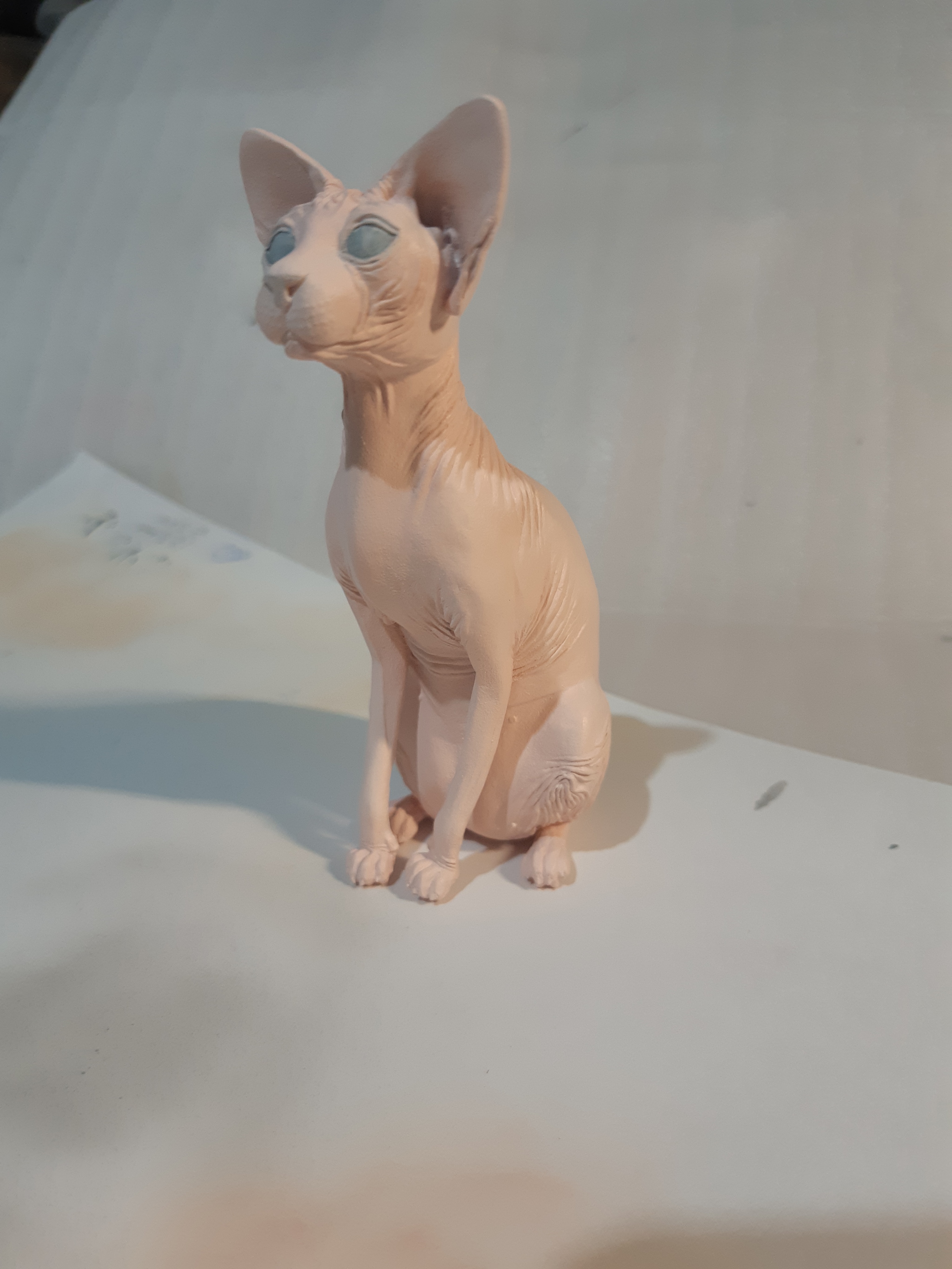 Portrait Sphynx cat - My, Лепка, Polymer clay, Needlework with process, Handmade, cat, Sphinx, Realism, Animals, Longpost