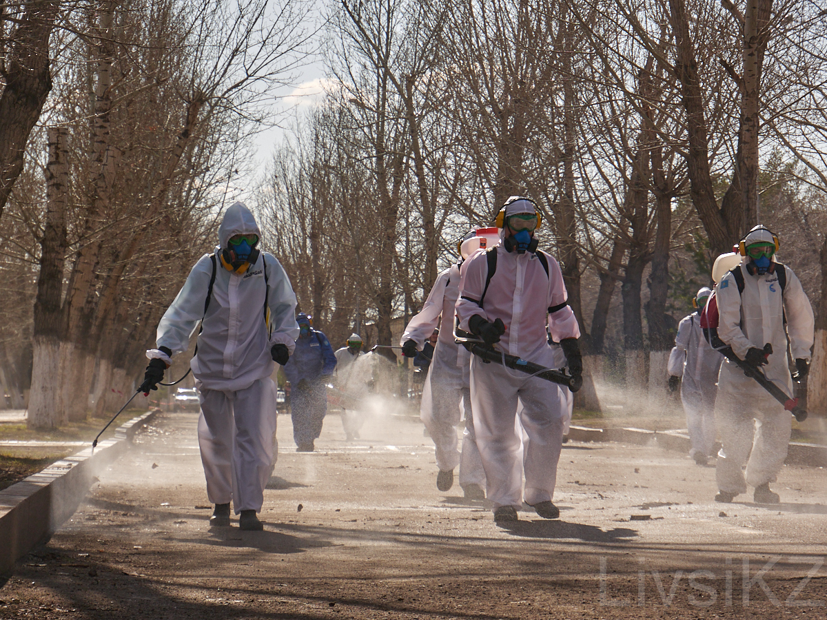 Karagantin No. 3 - quarantine everyday life of Karaganda - My, Karaganda, Kazakhstan, Quarantine, Coronavirus, Longpost