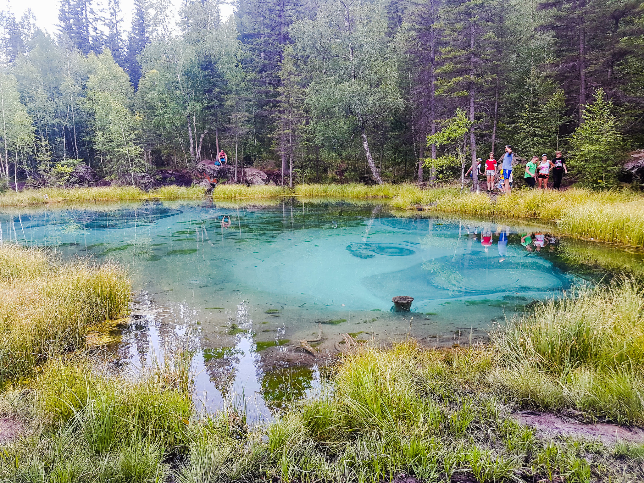 Just a photo - My, Altai Republic, Travels, Nature, Longpost