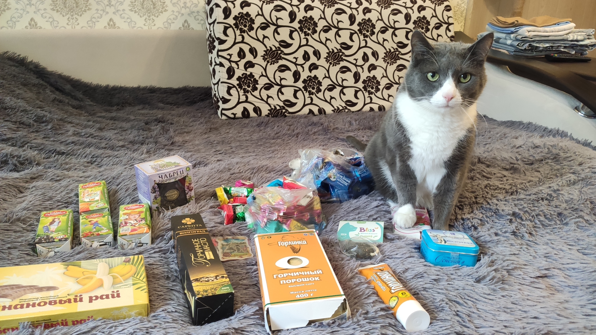 Goodies from Volgograd - My, Gift exchange, Sweets, Volgograd, cat, Longpost