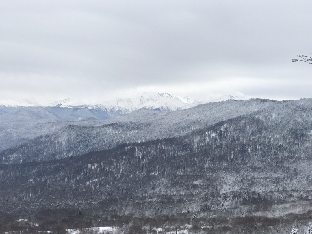 While we're sitting at home, you can make out a photo or our anal area - My, The photo, Краснодарский Край, Seasons, Longpost