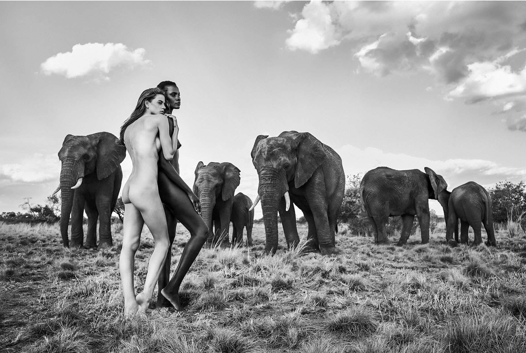 12 Natural Wonders Calendar - NSFW, The calendar, Beautiful girl, Longpost, Erotic, Black and white, Savannah