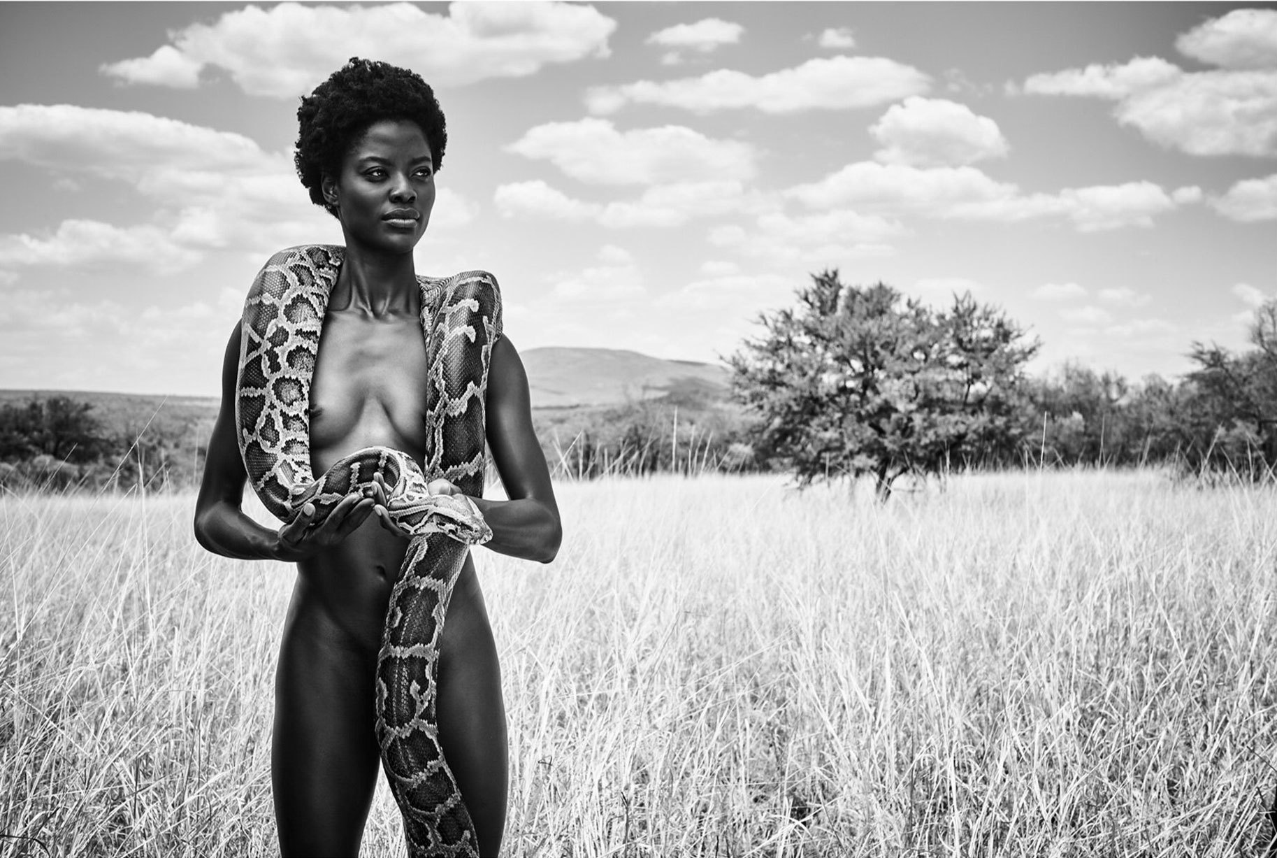 12 Natural Wonders Calendar - NSFW, The calendar, Beautiful girl, Longpost, Erotic, Black and white, Savannah