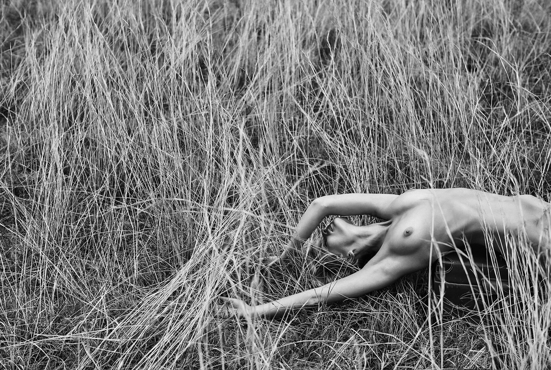 12 Natural Wonders Calendar - NSFW, The calendar, Beautiful girl, Longpost, Erotic, Black and white, Savannah