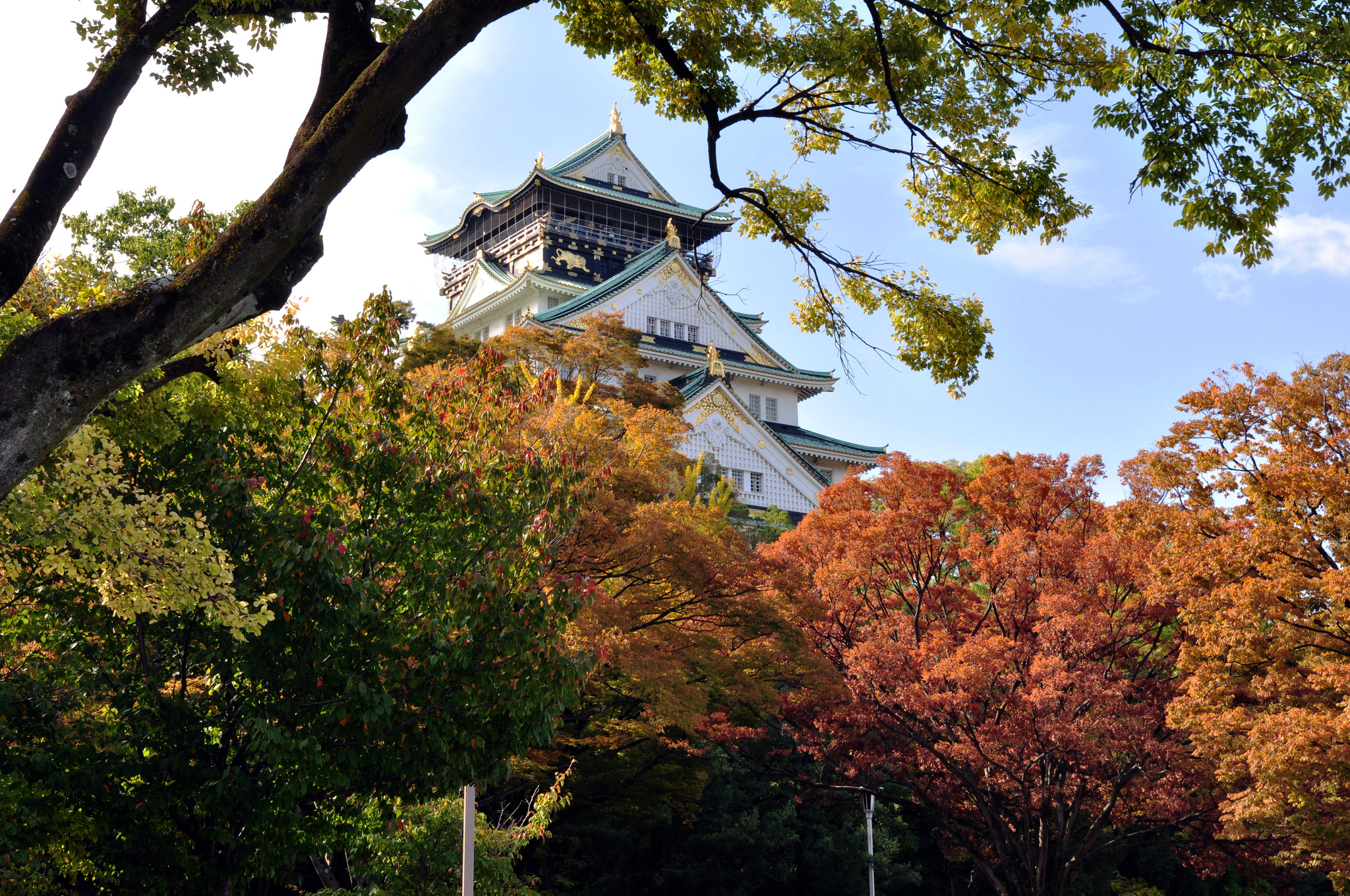 Castle, wheel, tower (Osaka, Japan) - My, Japan, Osaka, Lock, Ferris wheel, Tower, Панорама, Longpost