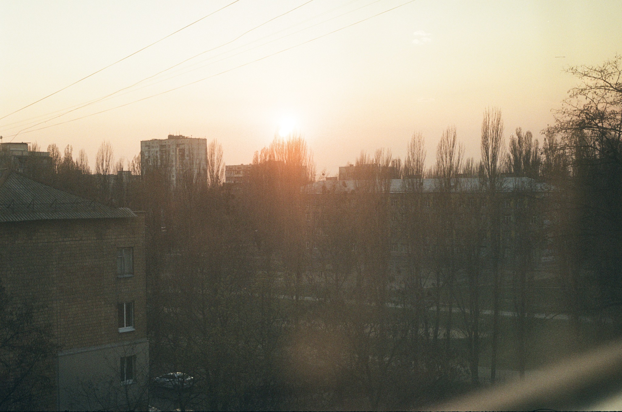 Analog photography, or how I amuse myself during quarantine - My, The photo, Quarantine, Longpost, camera roll, Camera, Helios-81n, Kyiv-19, cat, A parrot