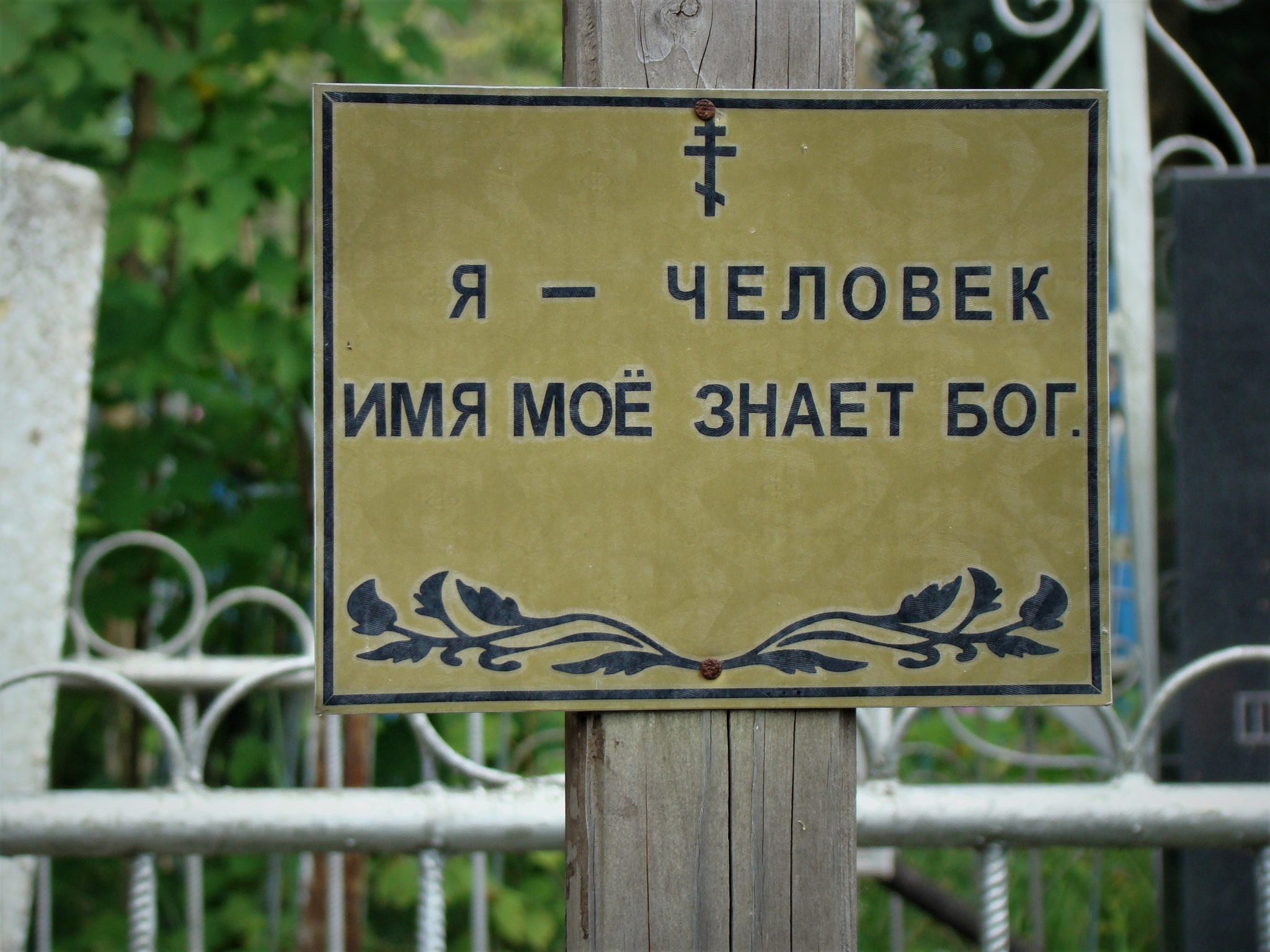 Cemeteries of the homeless - My, Cemetery, Death, Homeless, Russia, Longpost, Negative