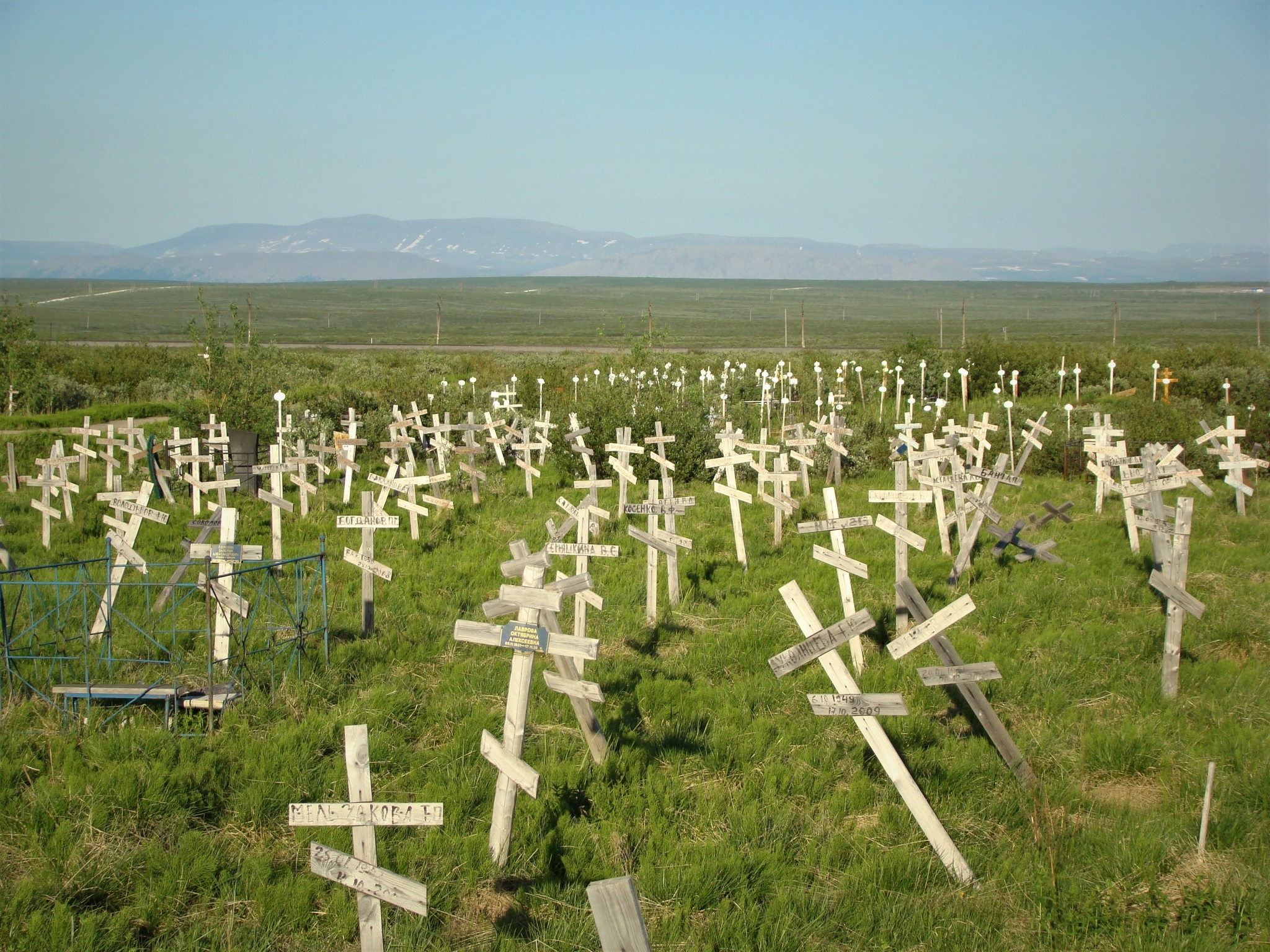 Cemeteries of the homeless - My, Cemetery, Death, Homeless, Russia, Longpost, Negative