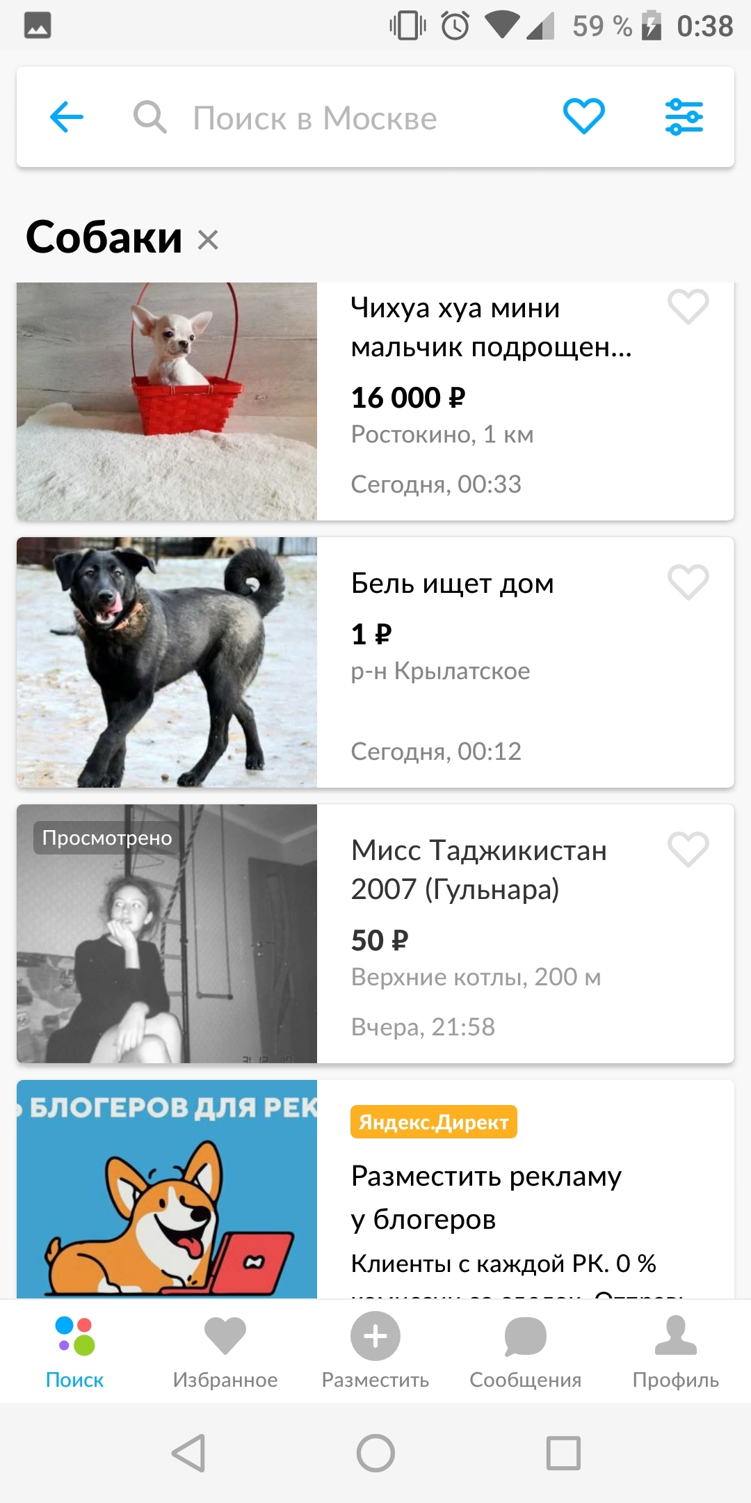 Looked at the puppies on avito - Avito, Prostitution