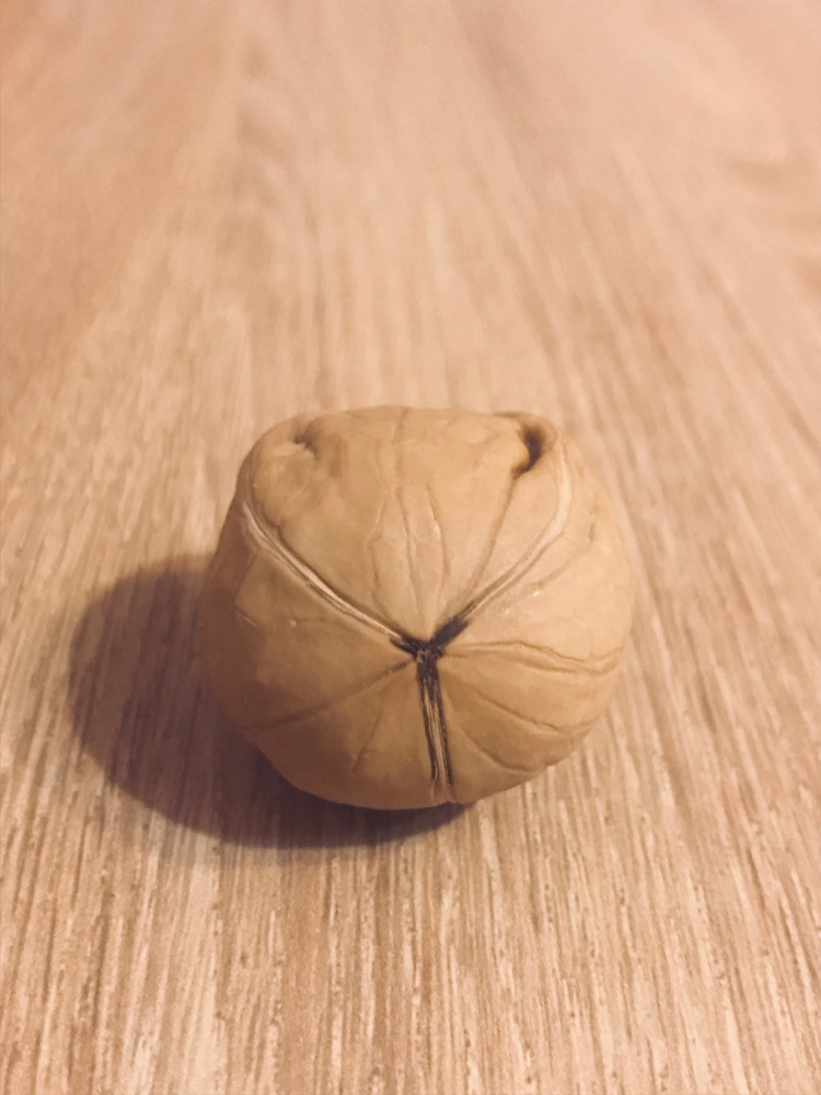 Trilobed walnut - My, Walnuts, Unusual, Luck, Rarity, Botany, Luck, Longpost