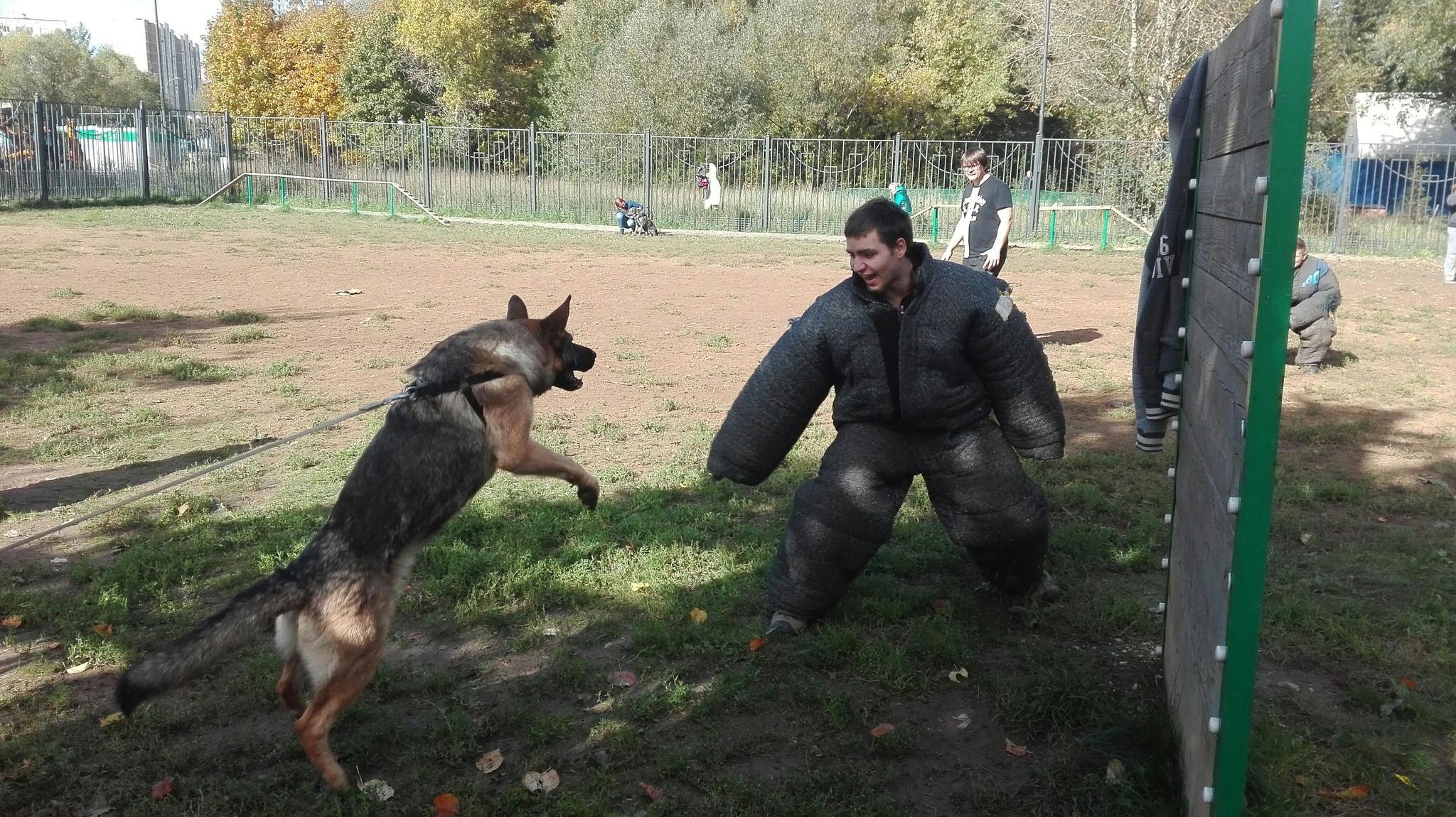 My Donut. Was - Has become - My, It Was-It Was, Dog, Fluffy, German Shepherd, Longpost