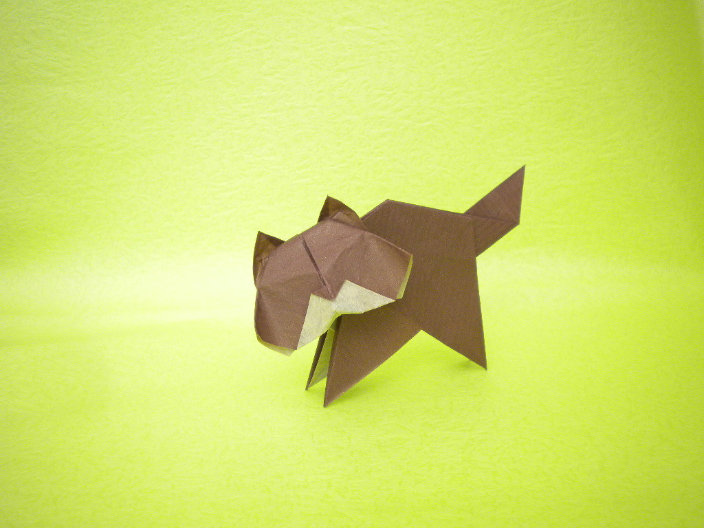 Origami cats 2017-2019 - My, Origami, Paper, cat, Longpost