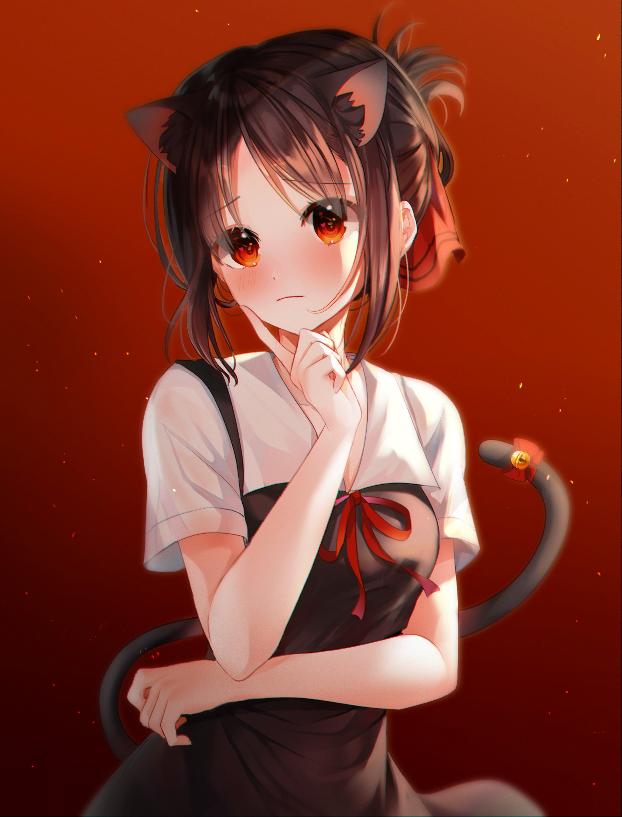 Kaguya - Kaguya-Sama wa Kokurasetai, Shinomiya Kaguya, Anime Art, Аниме, Неко, Animal Ears