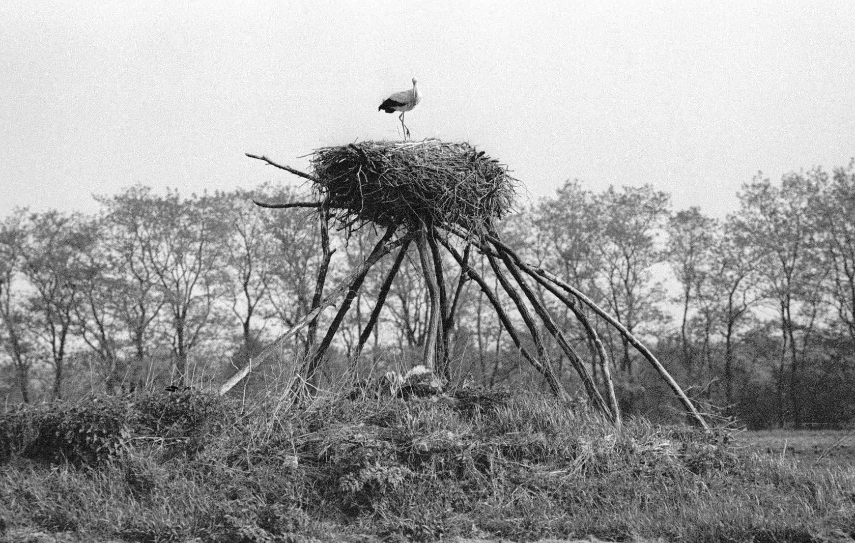 Chernobyl: disaster in 10 photos - Chernobyl, Chernobyl, Longpost, Video