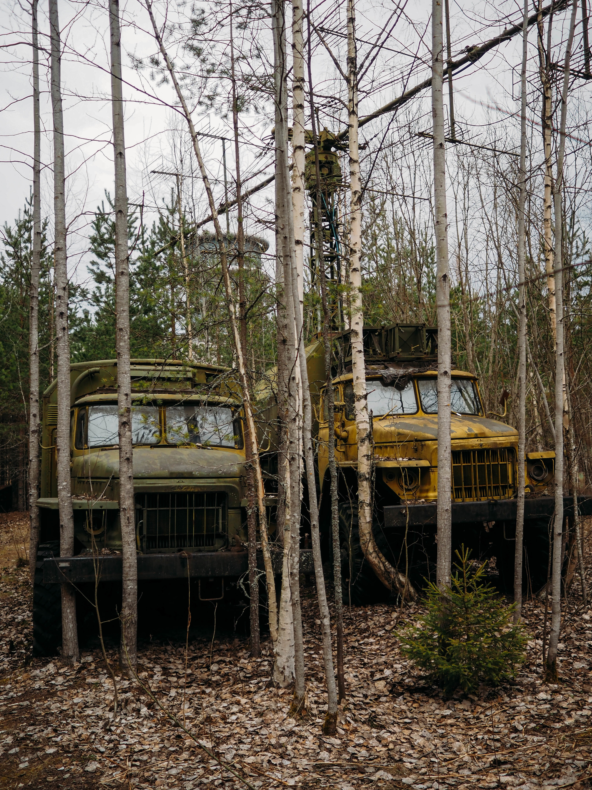 Find in the forest of the Leningrad region - My, Leningrad region, Radar, Longpost, Abandoned, Abandoned cars