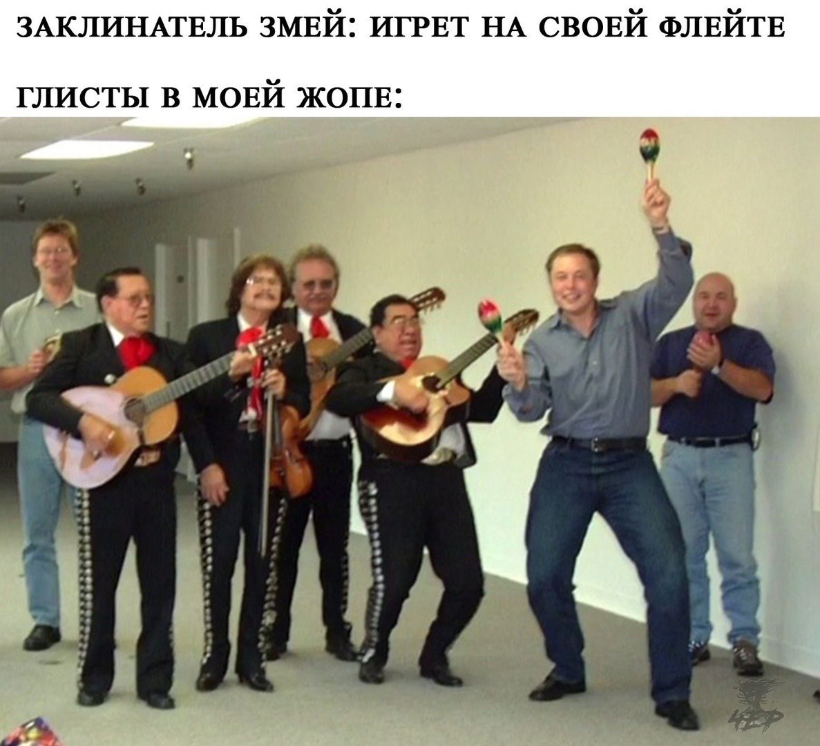 Заклинатель змей | Пикабу