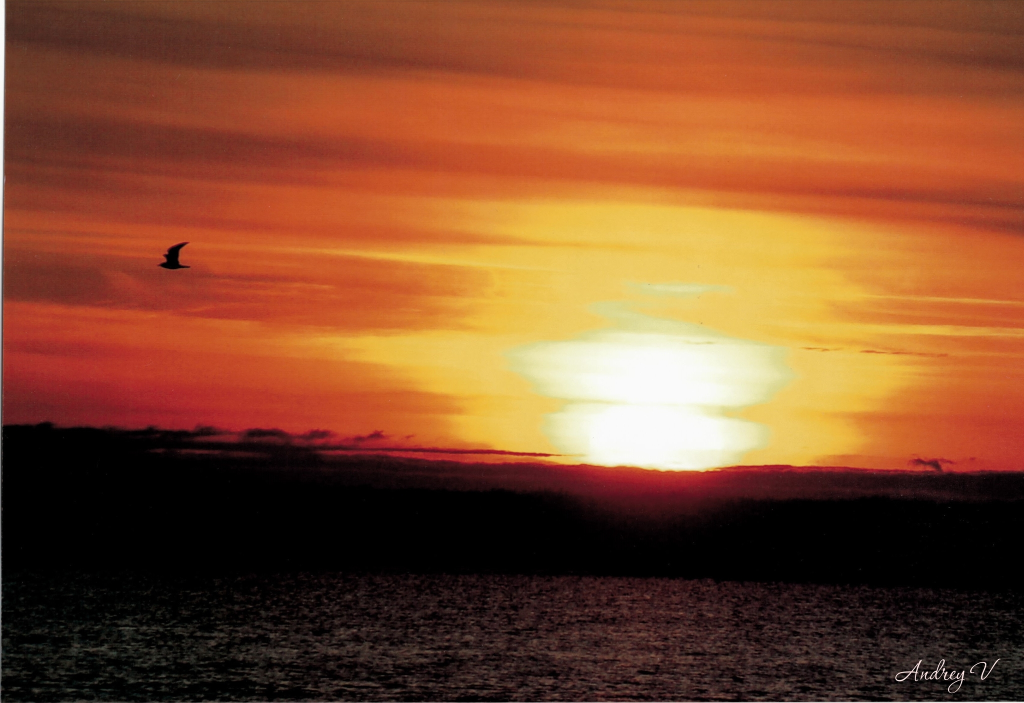 Dudinka. Sunset. 2010 - My, Yenisei, River, Sunset, Dudinka