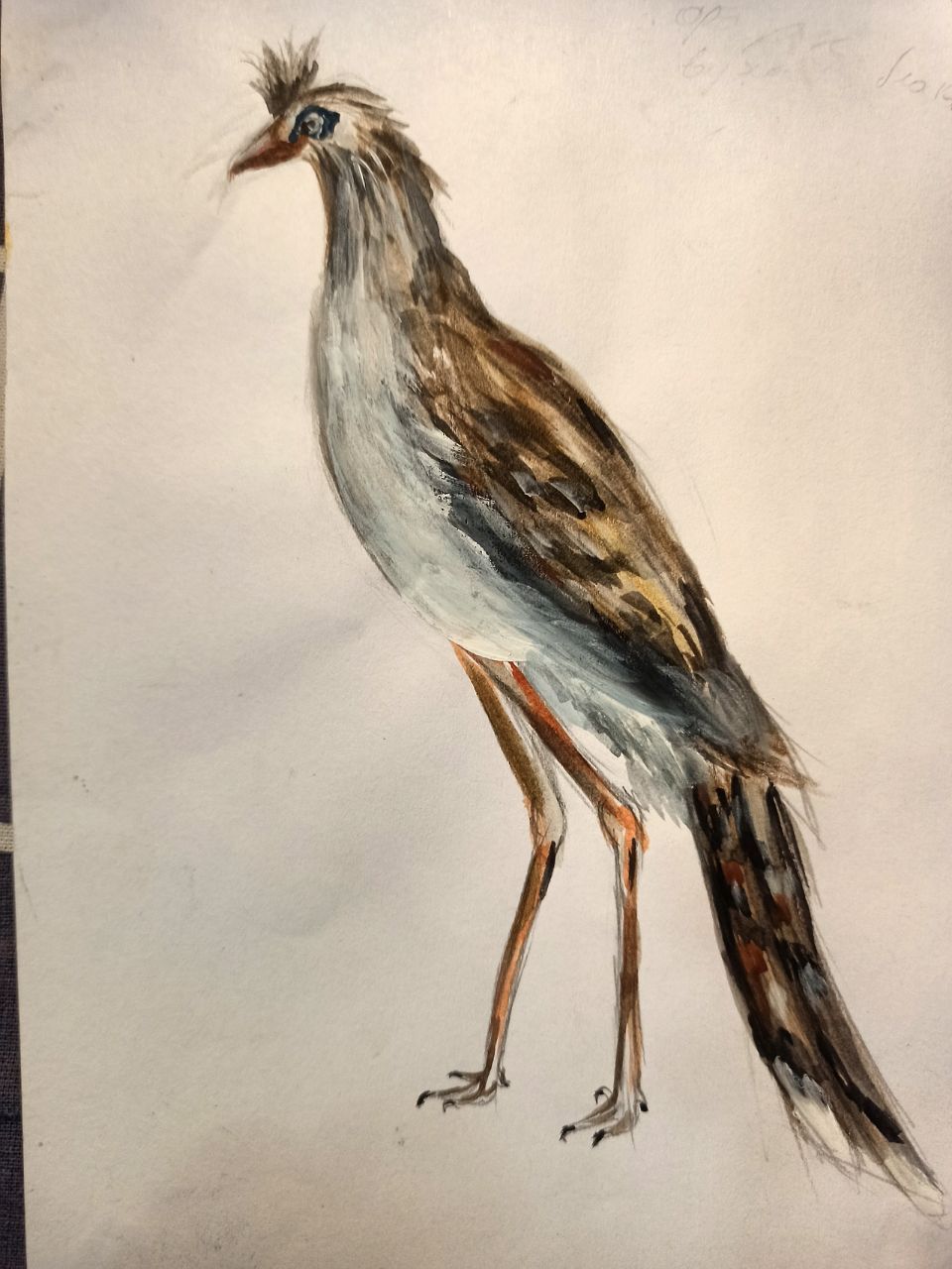 Watercolor (and not only) birds - Watercolor, Art, Birds, Author's story, Marker, Longpost