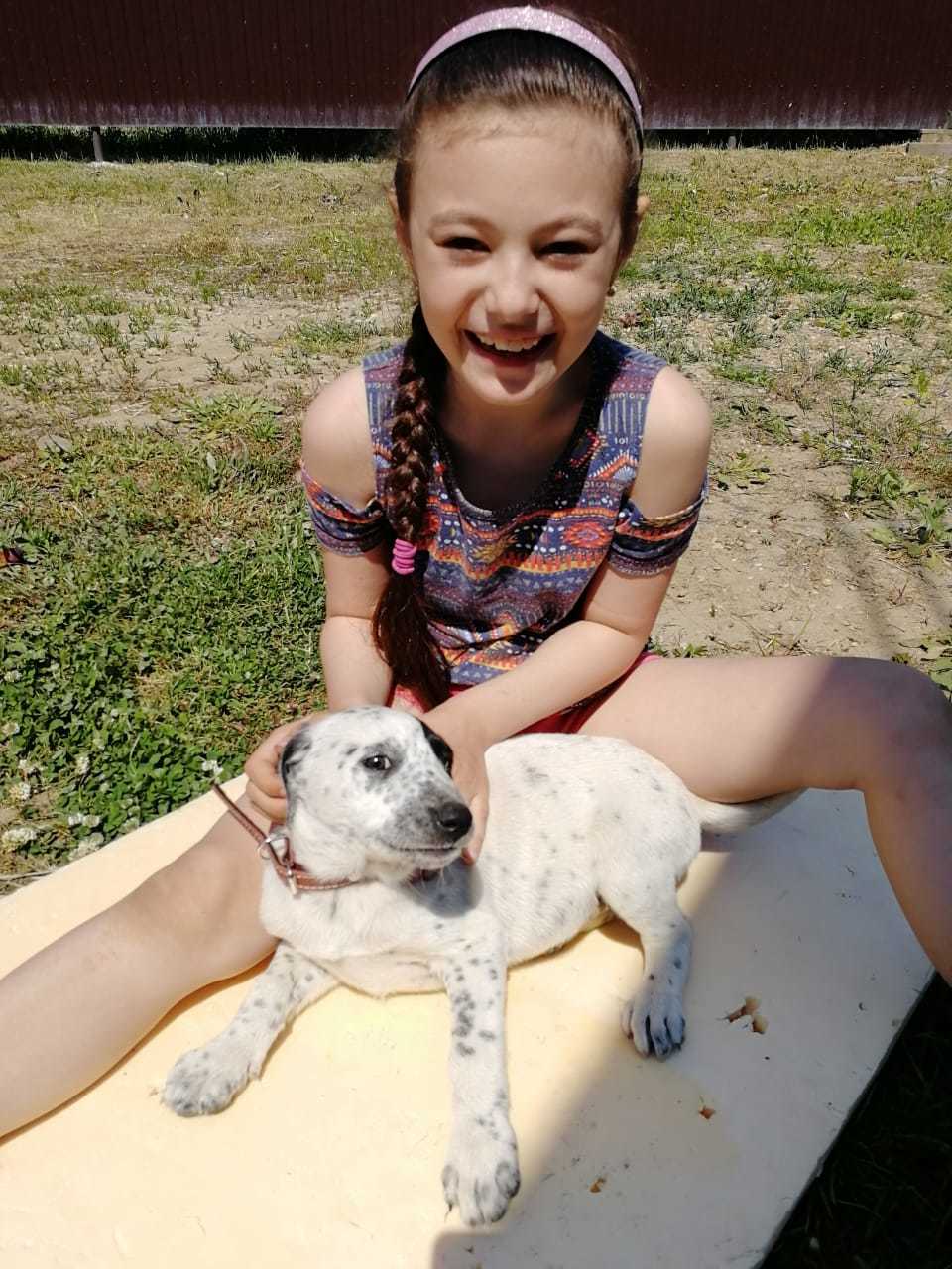 May 1st, everyone is having a barbecue, and we started Klyaksa) - My, Dog, Best friend, Longpost