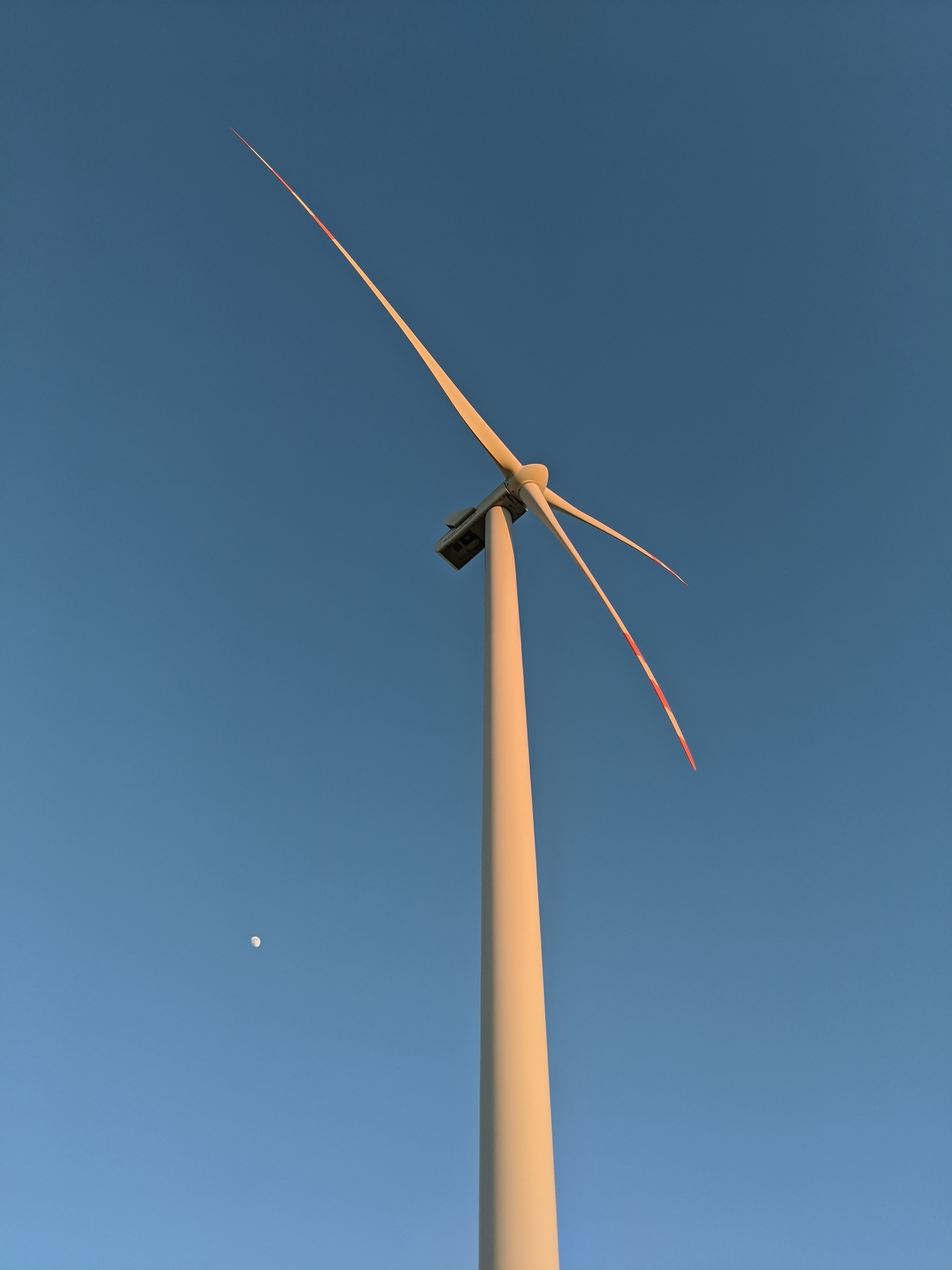 Wind turbines in rapeseed fields - My, Wind generator, rapeseed field, Sunset, Longpost