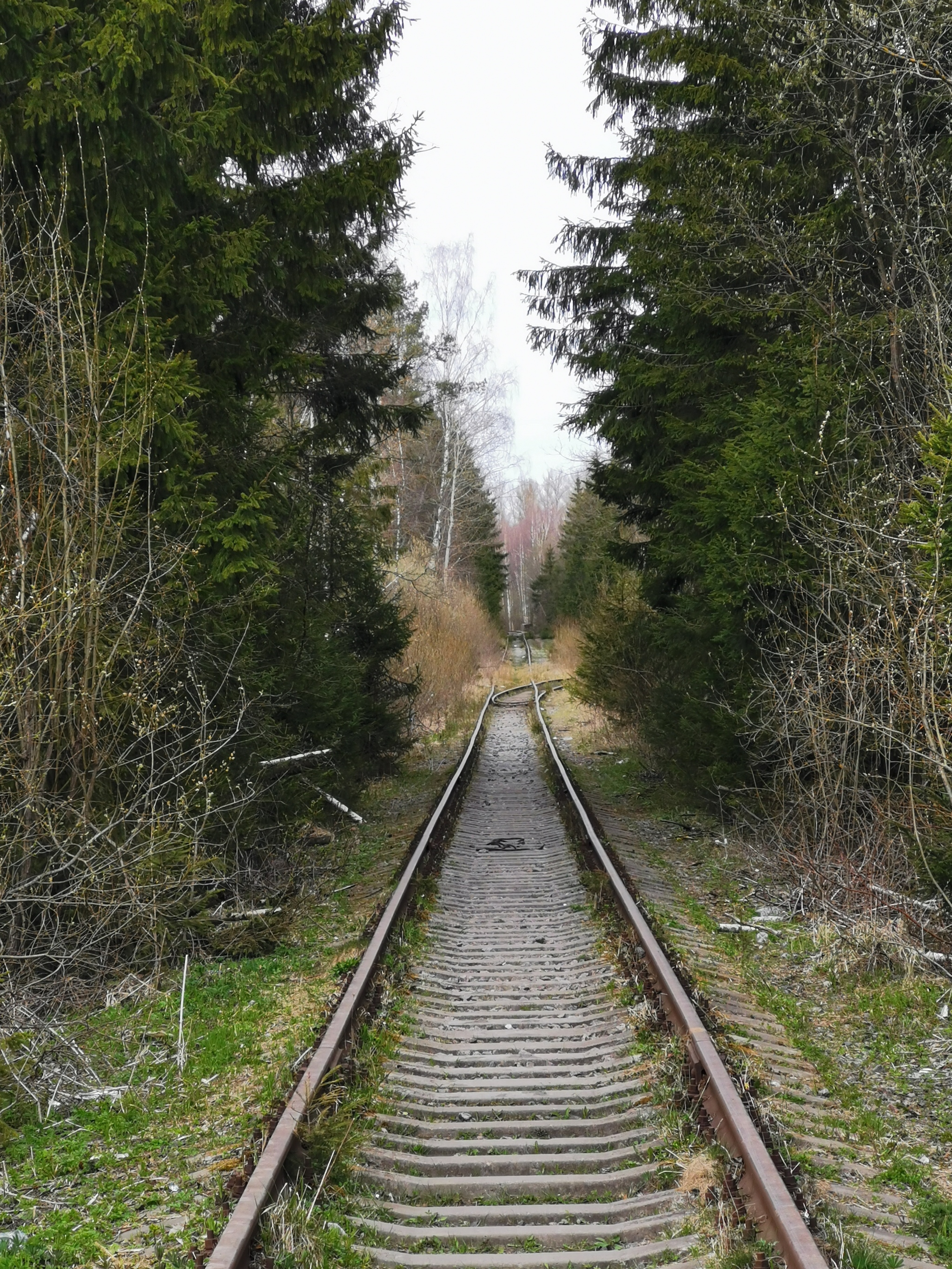 I came across an abandoned railway. Huawei p30 - My, Railway, Forest, Longpost