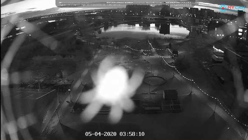 Spider! - My, Spider, Volga, Webcam