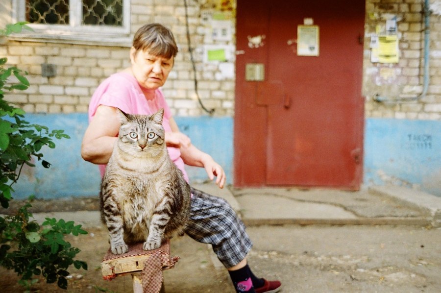 Cat from Balakovo (2012) - My, Film, Rangefinder photo, Balakovo, cat, Video