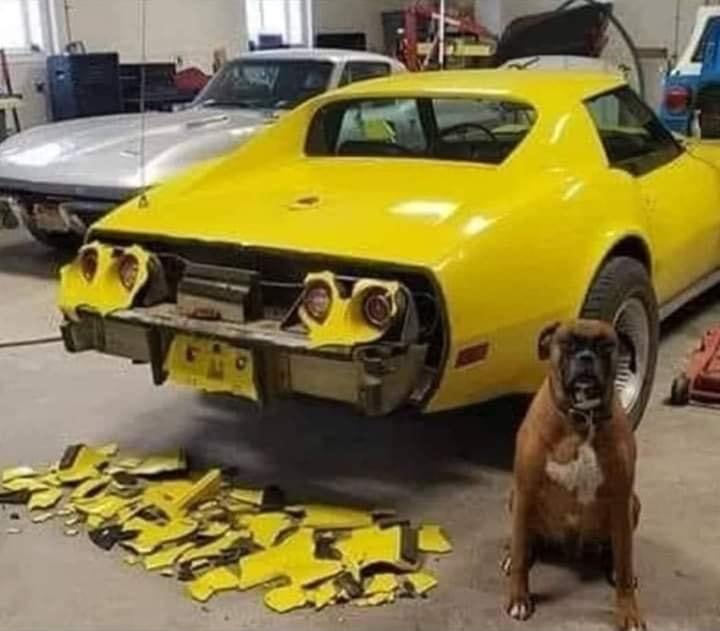 Auto disassembly, inexpensive - Dog, Auto, Разборки