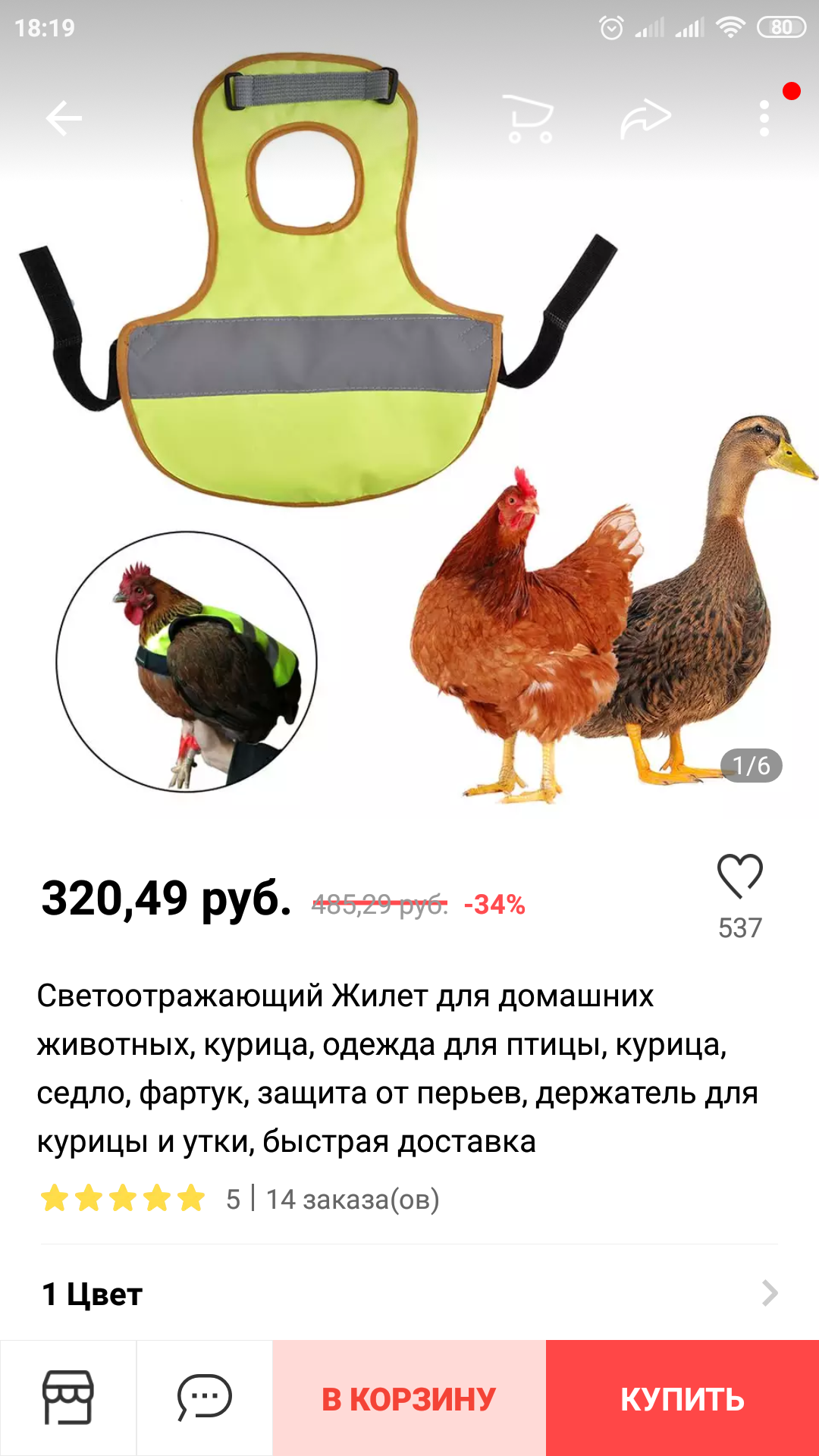 I know what I'll do during self-isolation. All that's left is to buy chickens - Helmet, Hen, Reviews on Aliexpress, Longpost