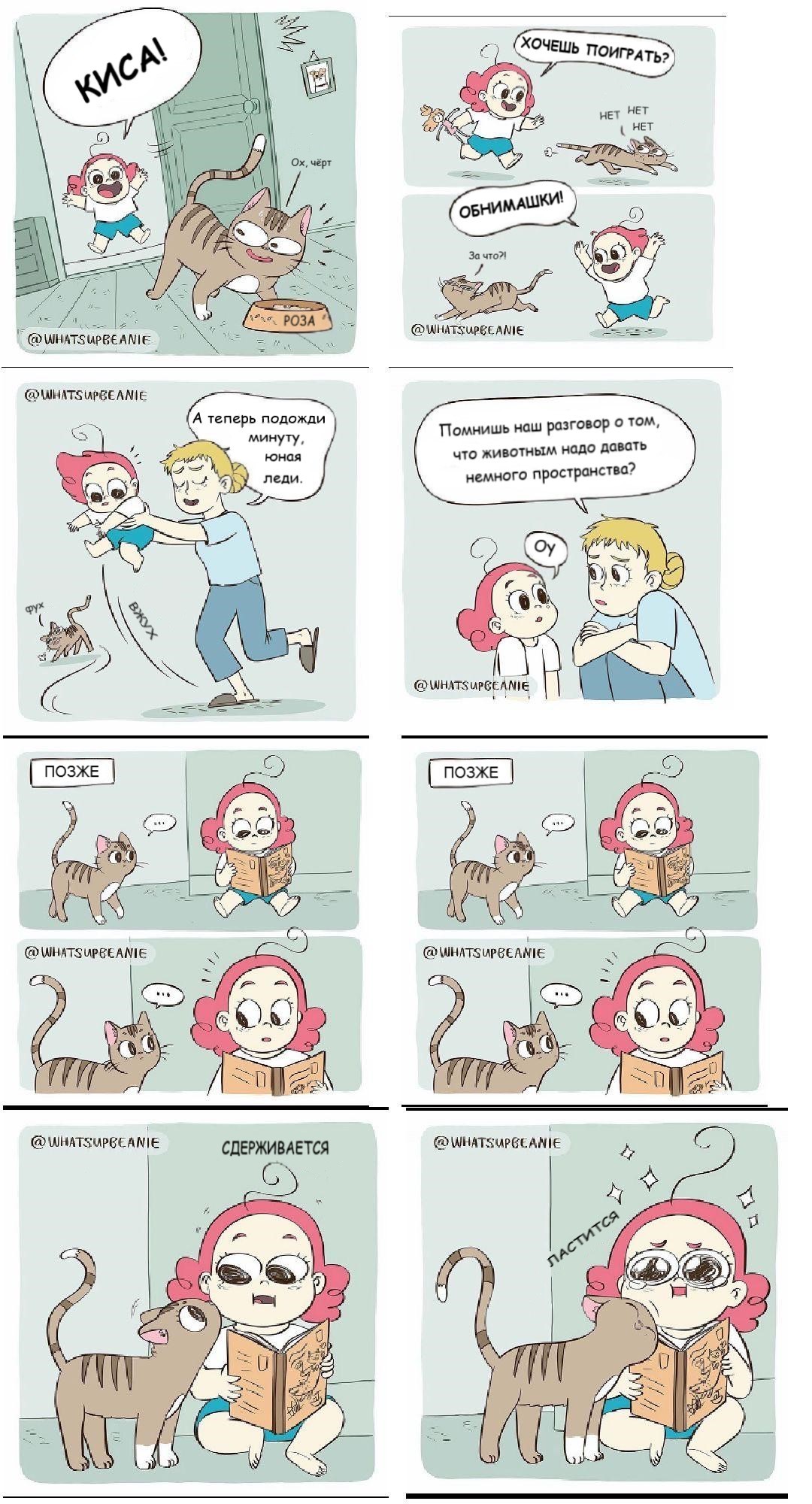 It's a hard life for a kitty - Comics, Translation
