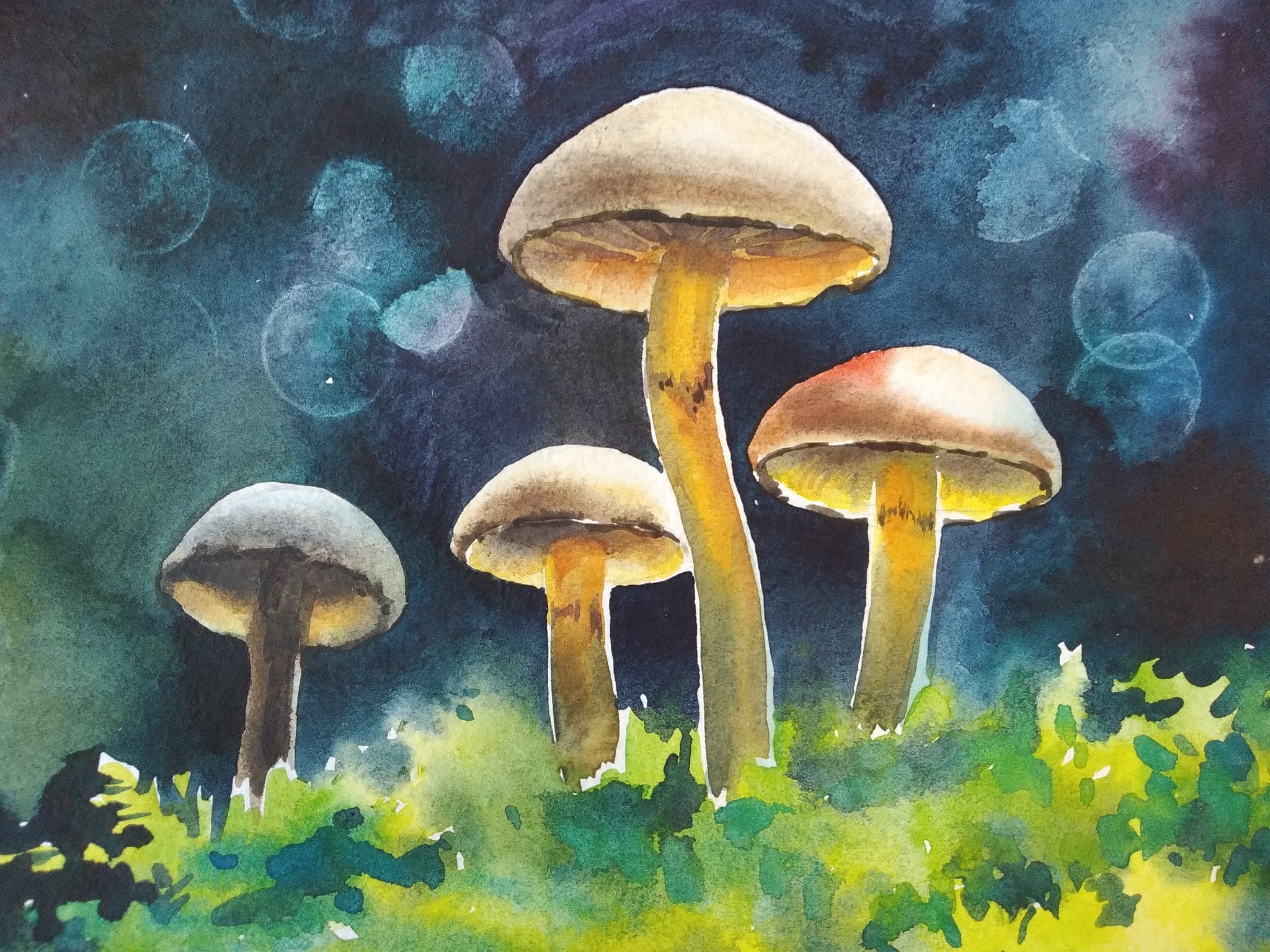 Mushrooms - My, Mushrooms, Watercolor, Etude