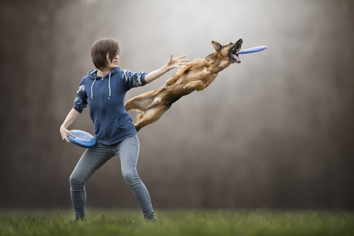 Stop, just a moment! You're wonderful... - Dog, Frisbee, Bounce, Activity, Milota, Longpost, The photo