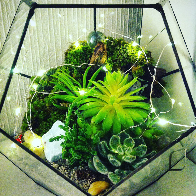 I tried my hand at glass design - My, Hobby, Succulents