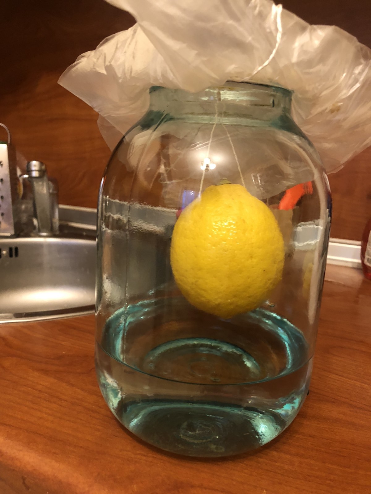 Lemon hanged himself - Limoncello, Jar