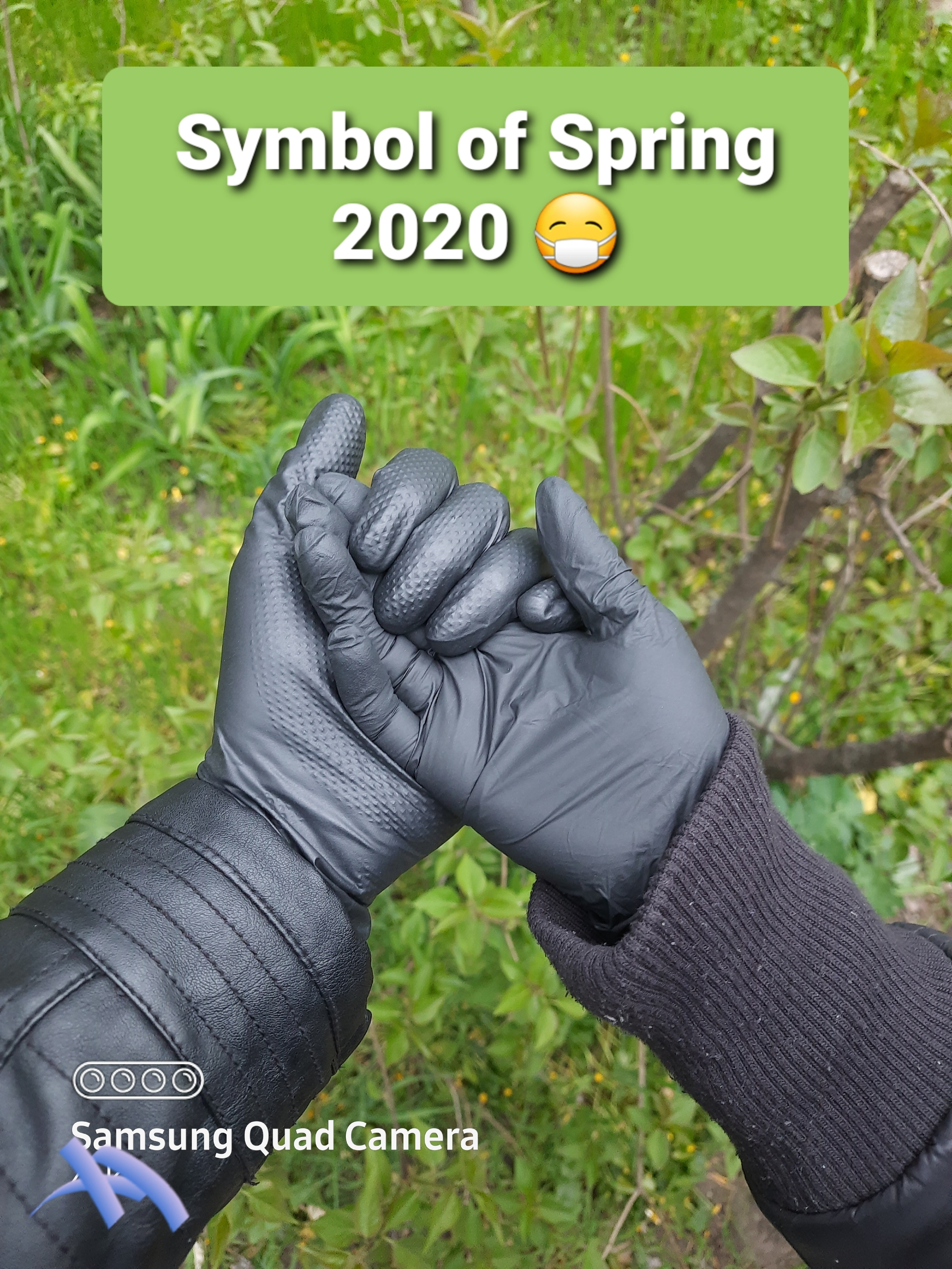 Symbol of spring this year - Protection, Spring, Gloves