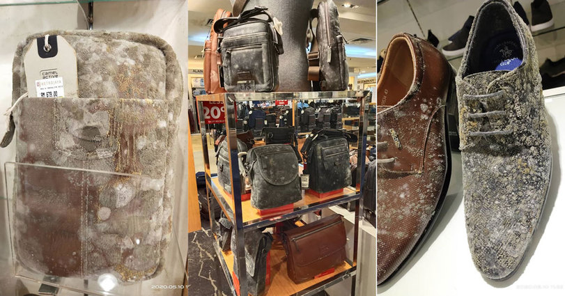 Leather goods in a Malaysian mall after two months of quarantine - Images, Tag, Malaysia, Shopping center, Mold, Longpost