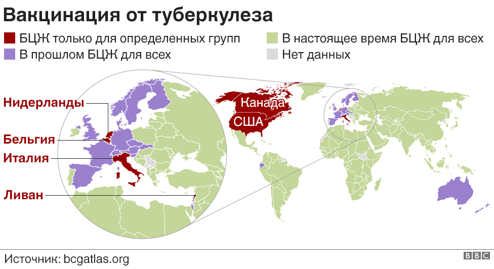 Прививки от туберкулеза против коронавируса - Коронавирус, Медицина, Наука, Статья, Длиннопост