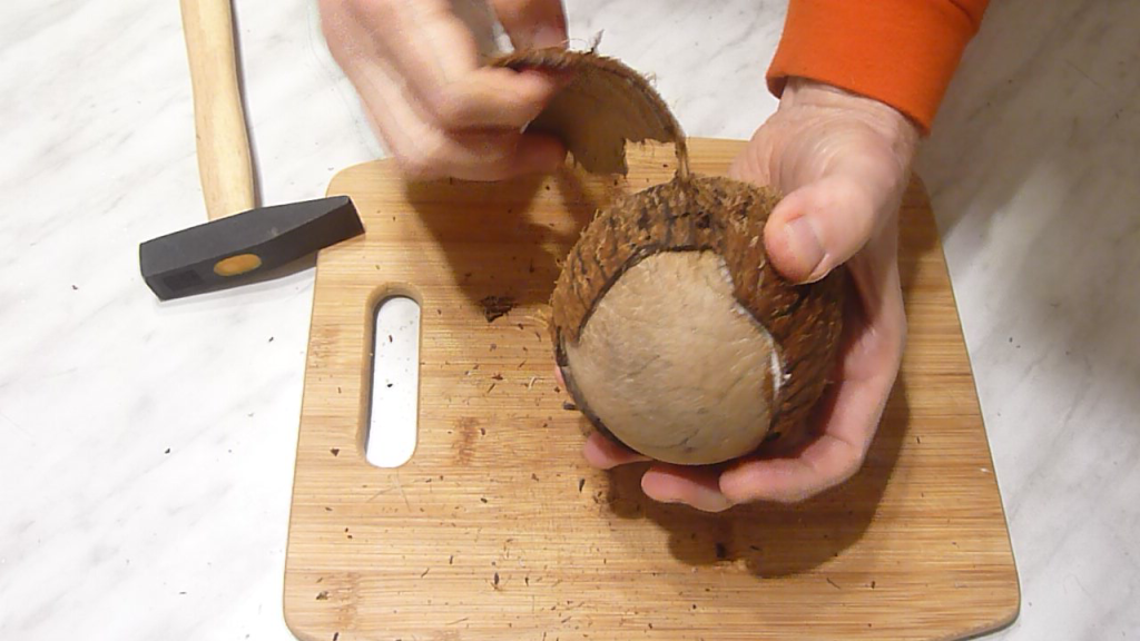 How to peel a coconut - My, Coconut, Video recipe, Recipe, Coconut chips, Video, Longpost