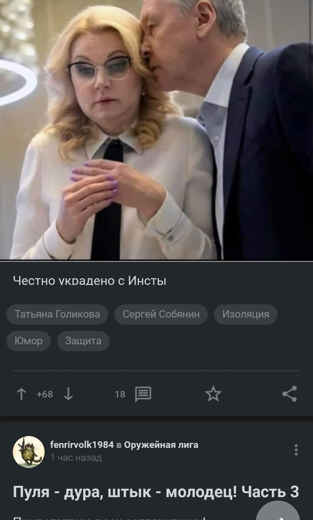 Is the order of posts on the picaboo random? - Sergei Sobyanin, Humor, Tatiana Golikova, Posts on Peekaboo, Matching posts, Coincidence, Screenshot