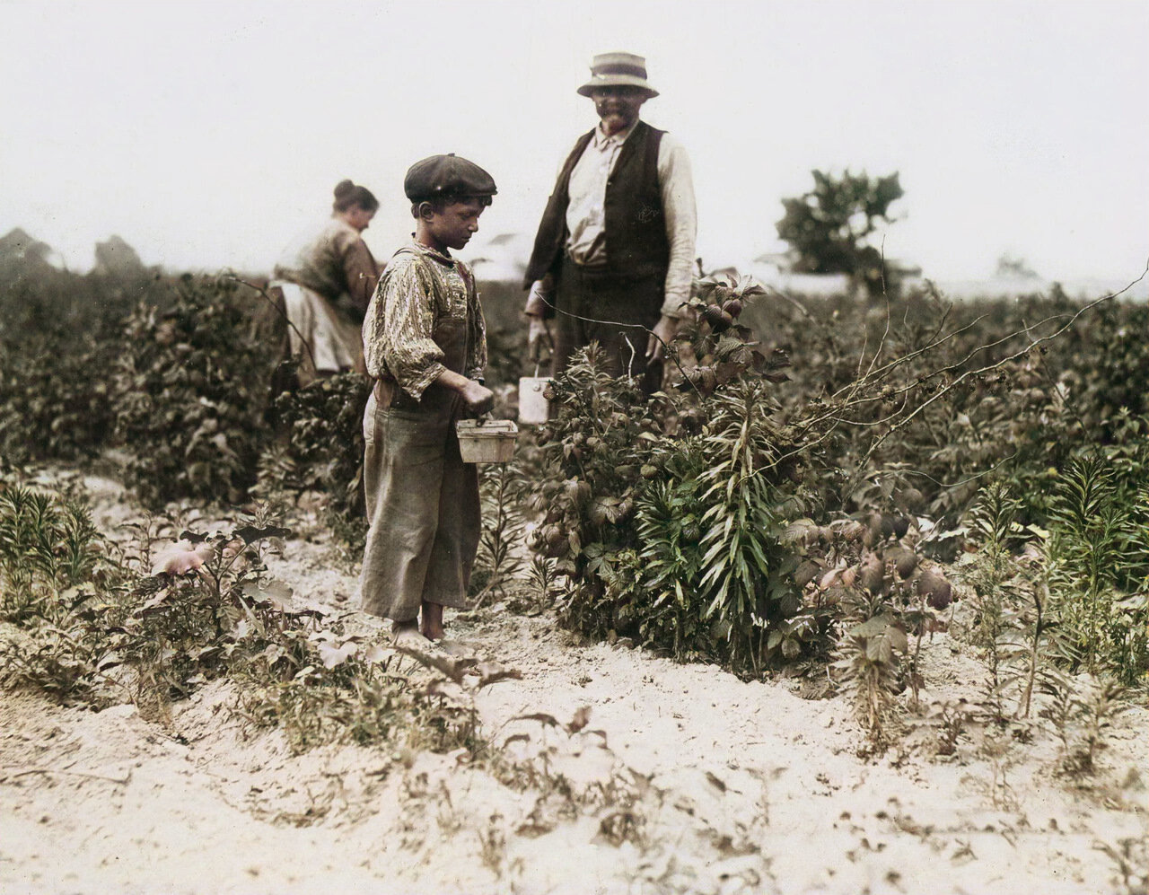 Child labor in America at the beginning of the twentieth century (colorization b/w photo) - Colorization, The photo, USA, Story, Capitalism, Exploitation, Child labour, Longpost