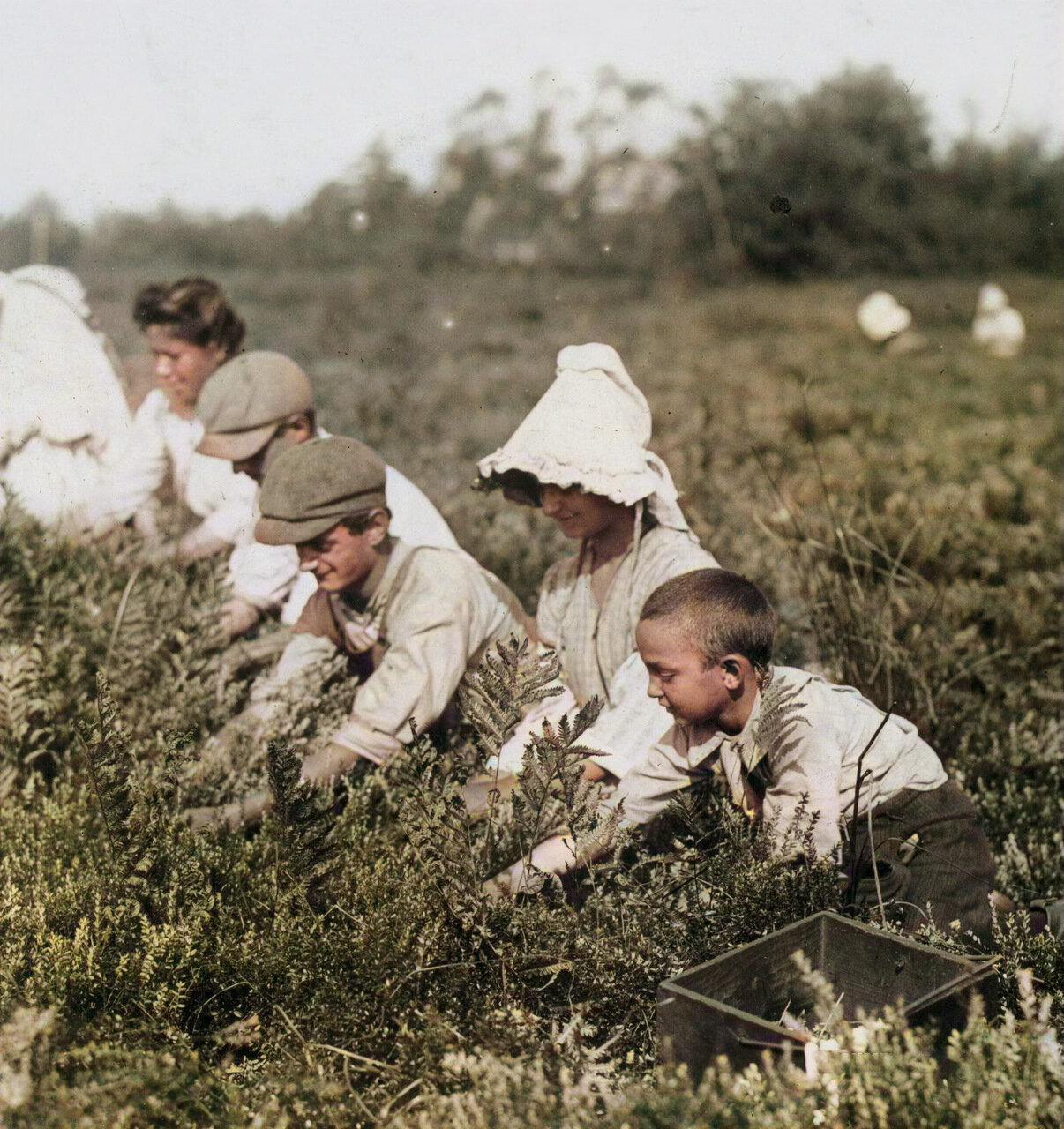 Child labor in America at the beginning of the twentieth century (colorization b/w photo) - Colorization, The photo, USA, Story, Capitalism, Exploitation, Child labour, Longpost