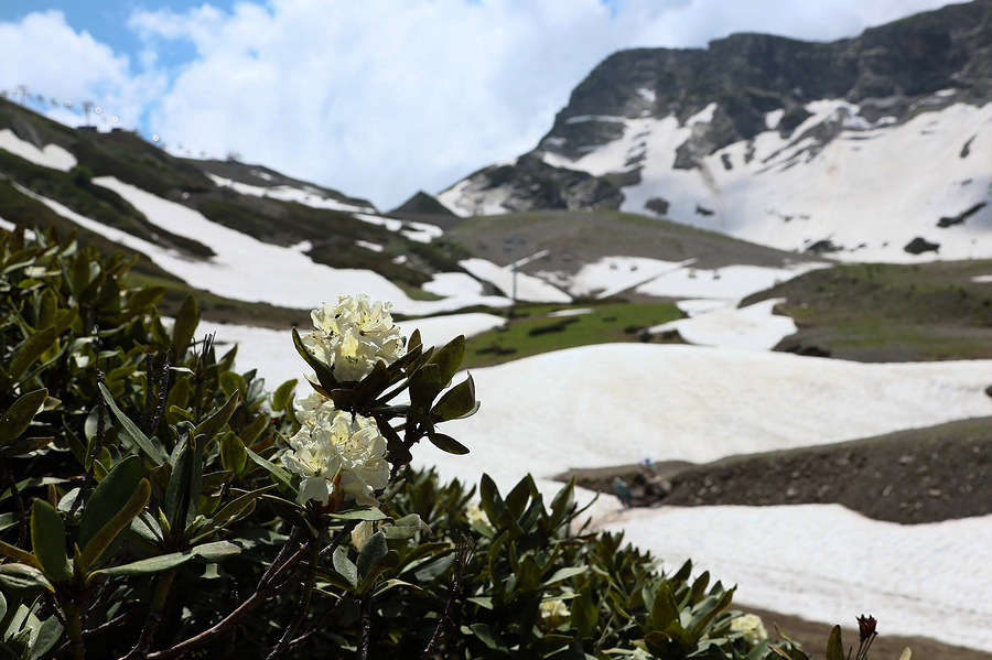 Cold beauty, or the most majestic glaciers of Russia - Nature, Glacier, The mountains, Elbrus, Travels, Ecology, Longpost