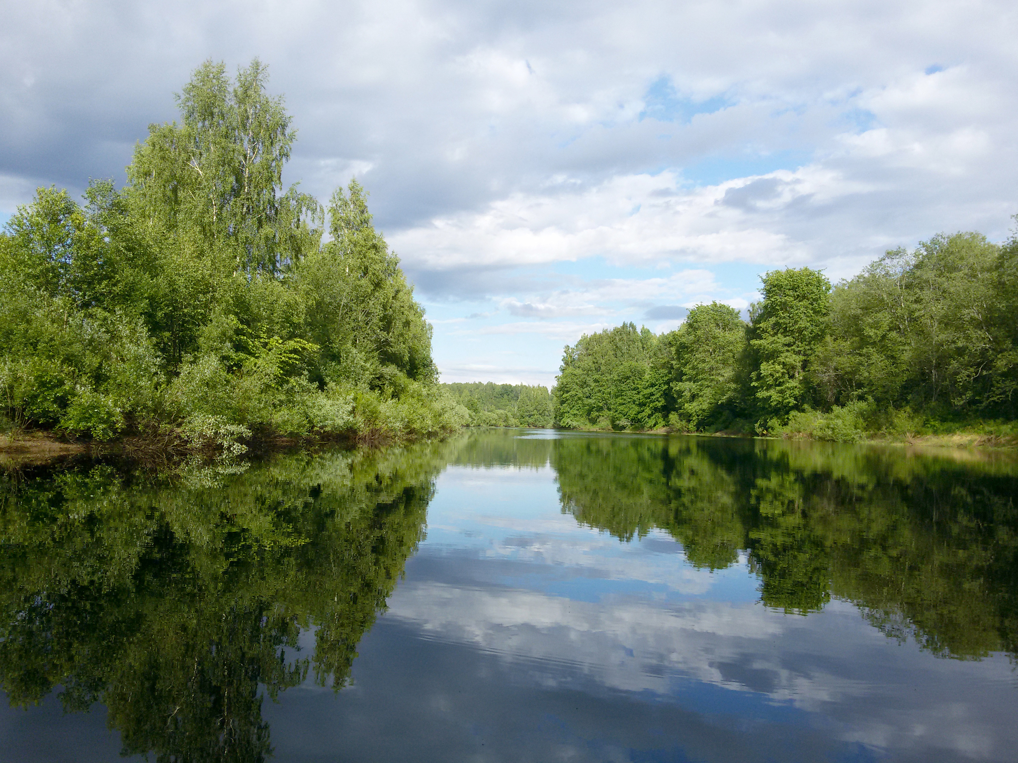 Дом река новгородская область. Малая Вишера река. Река большая Вишера Новгородская область.