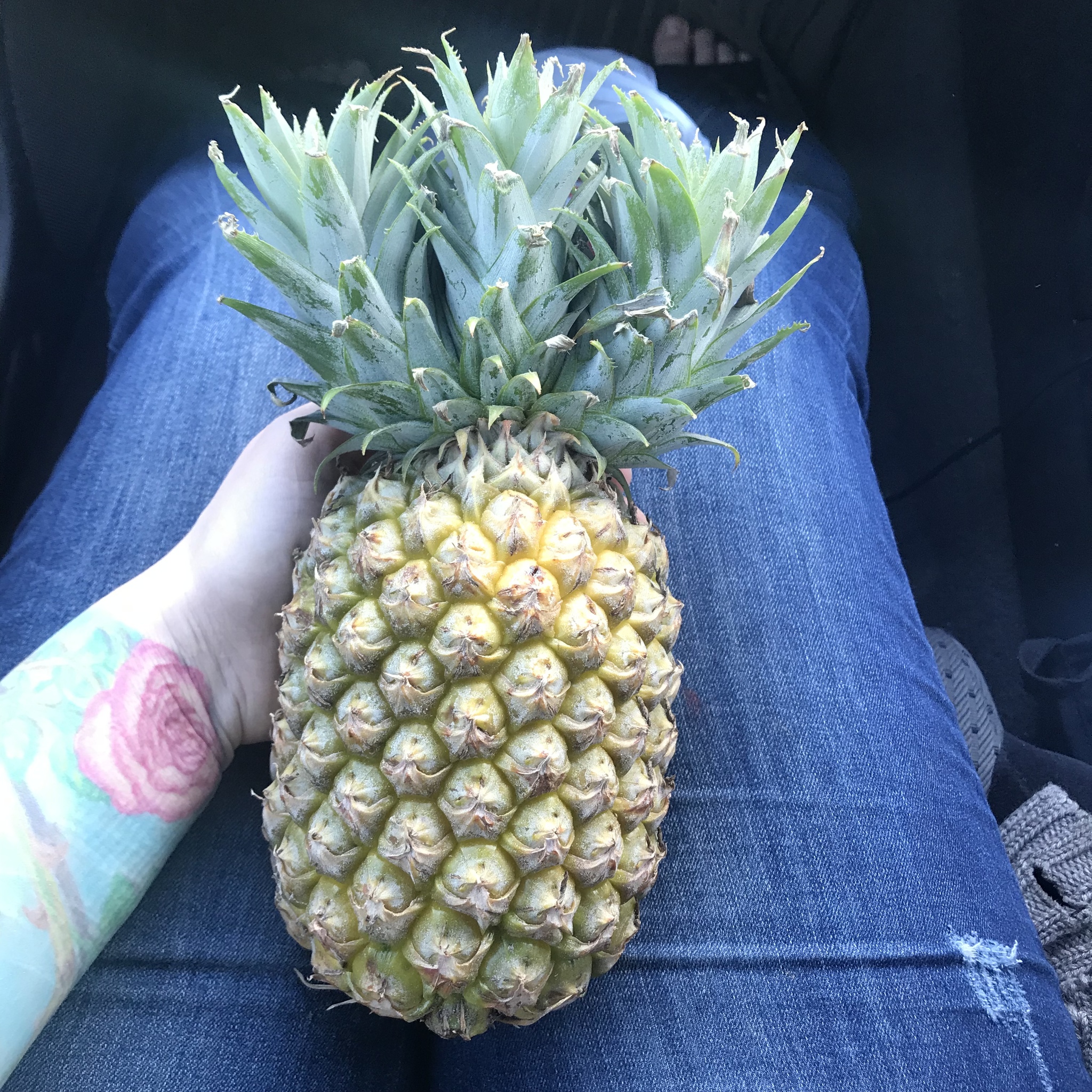 Pineapple mutant) - My, A pineapple, Mutant, Mutation