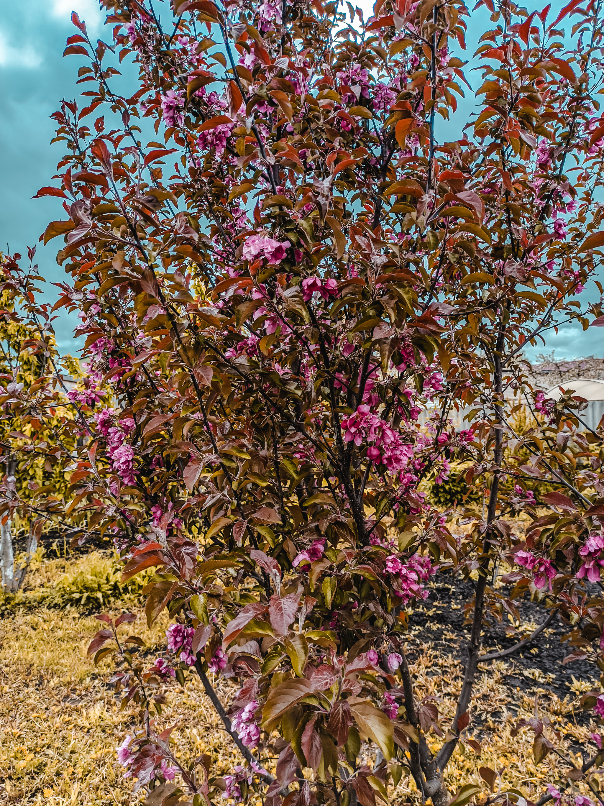 On the way from the outback to the metropolis. Nizhny Novgorod Region - My, Village, Nature, Nizhny Novgorod Region, Longpost, The photo