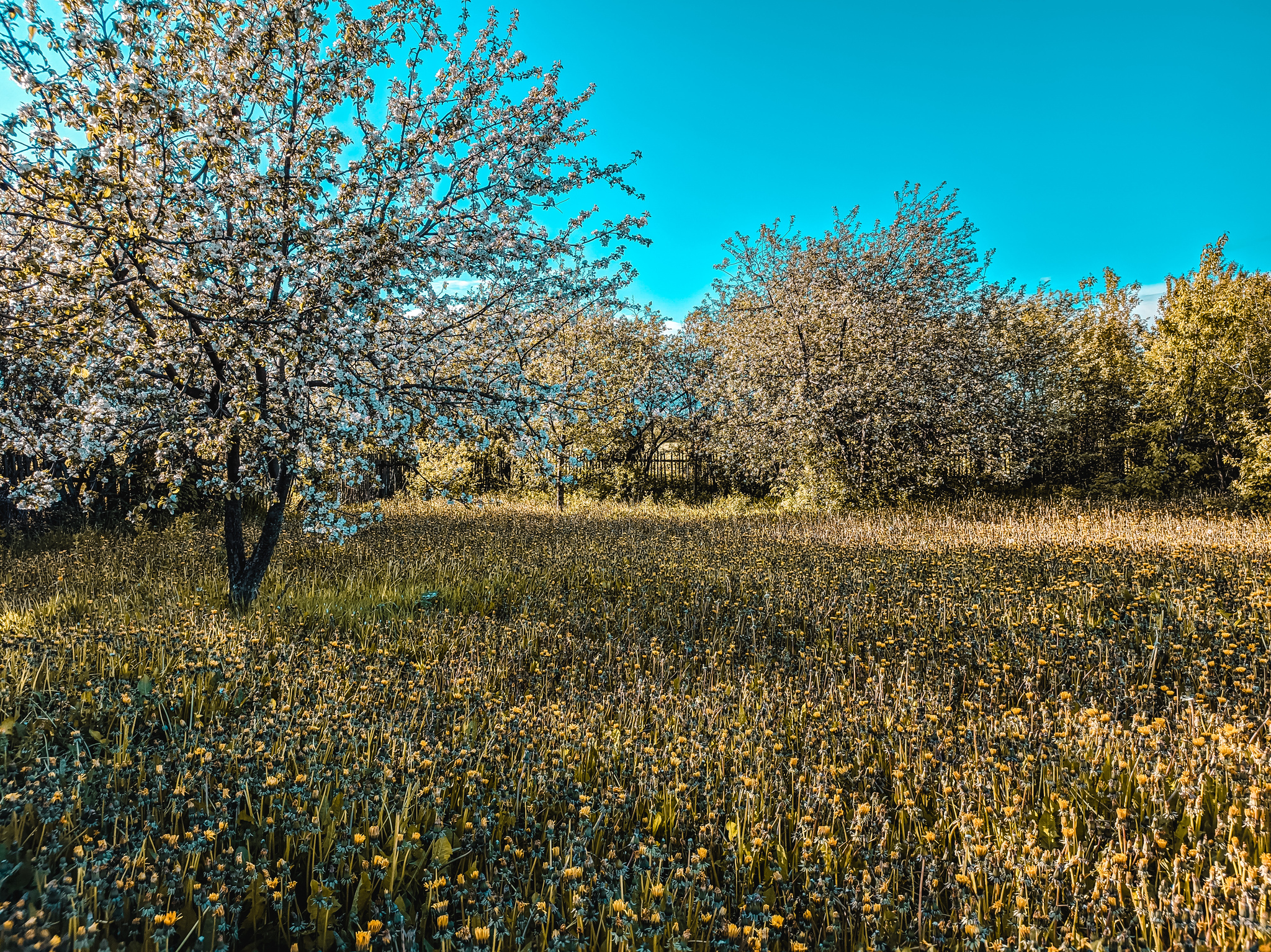 On the way from the outback to the metropolis. Nizhny Novgorod Region - My, Village, Nature, Nizhny Novgorod Region, Longpost, The photo