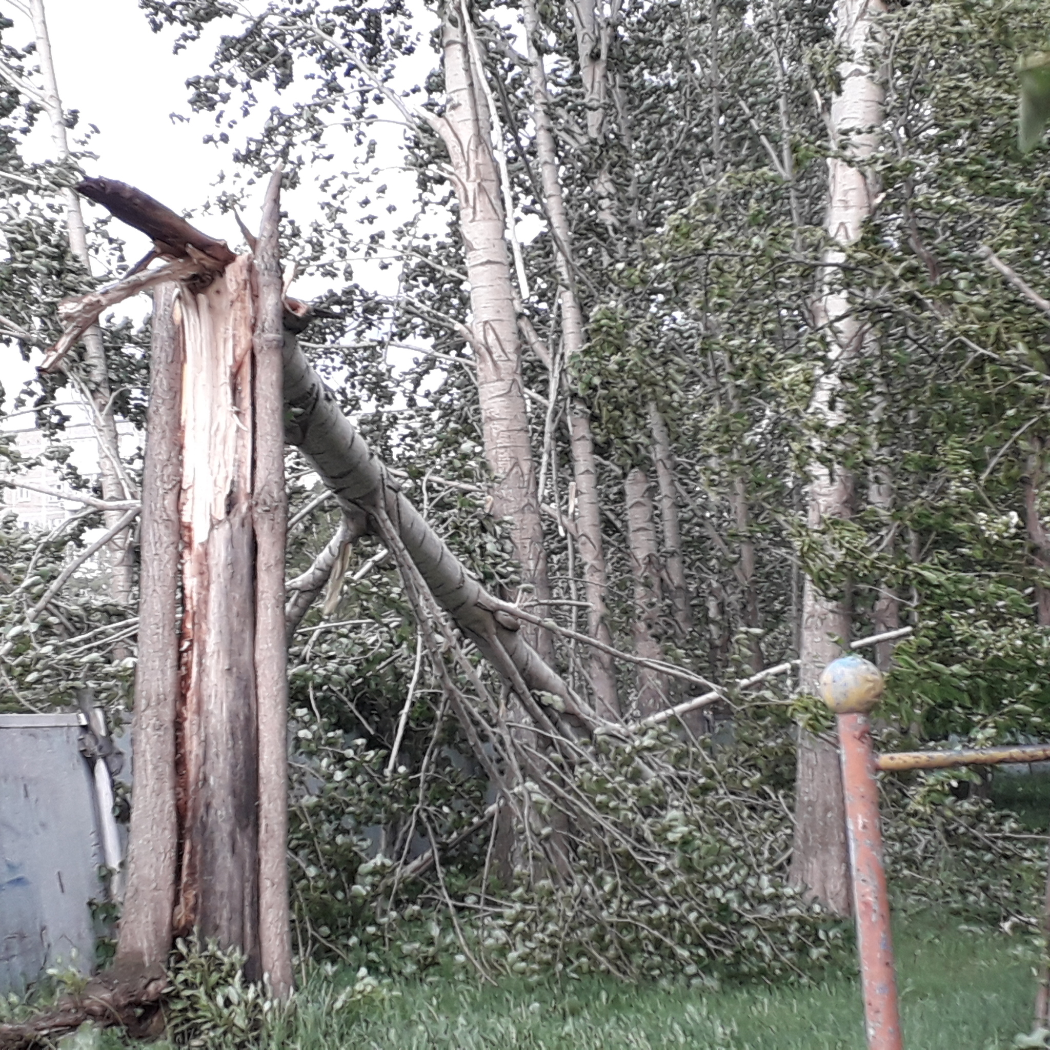 I love thunderstorms in the middle of May... - My, Element, Bad weather, Wind, Longpost, Yekaterinburg