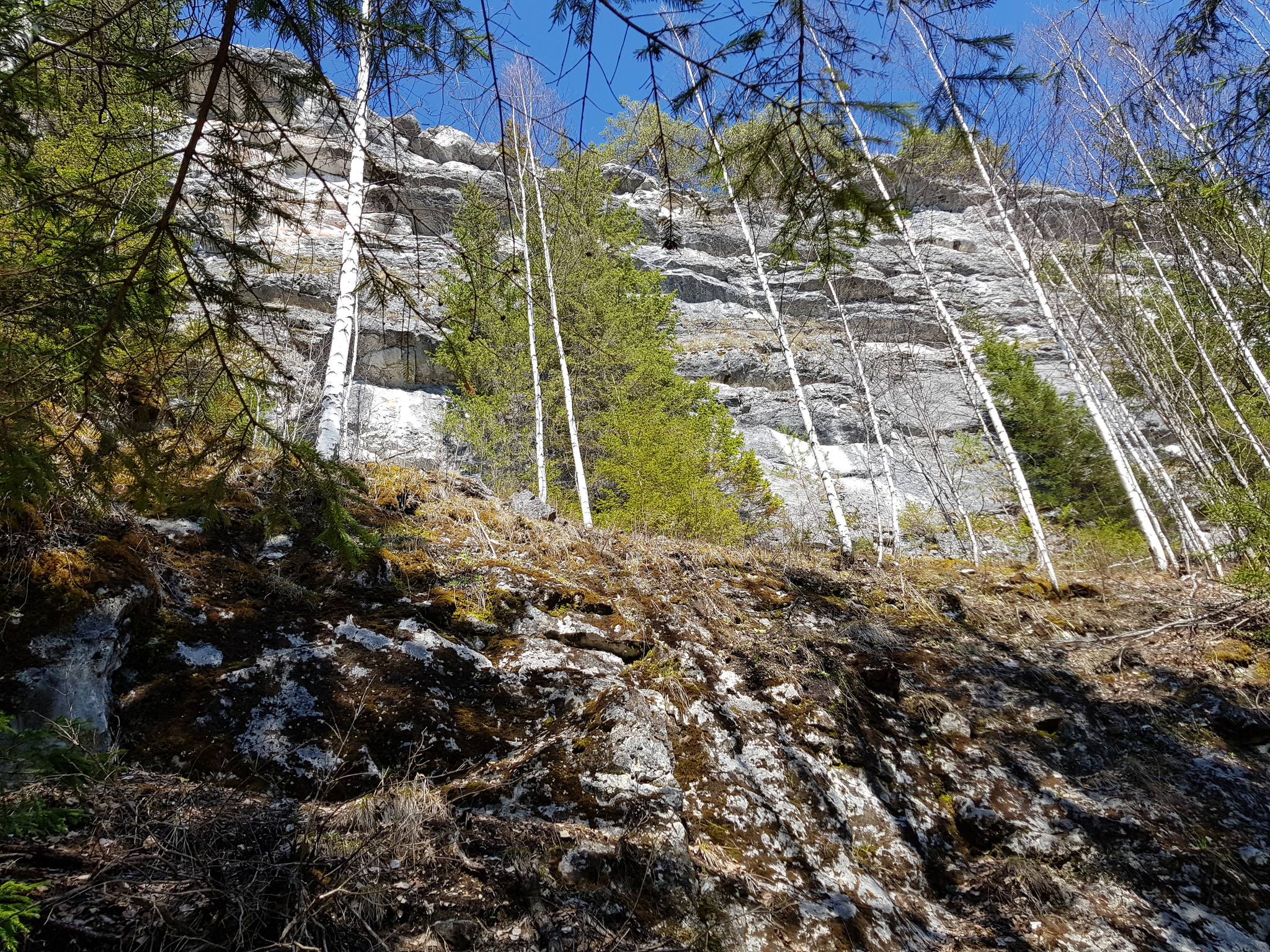 Solo hike to the Chudesnitsa cave - My, Ural, Hike, Perm Territory, Lysva, Chusovaya River, Tracking, Solo hike, Video, Longpost